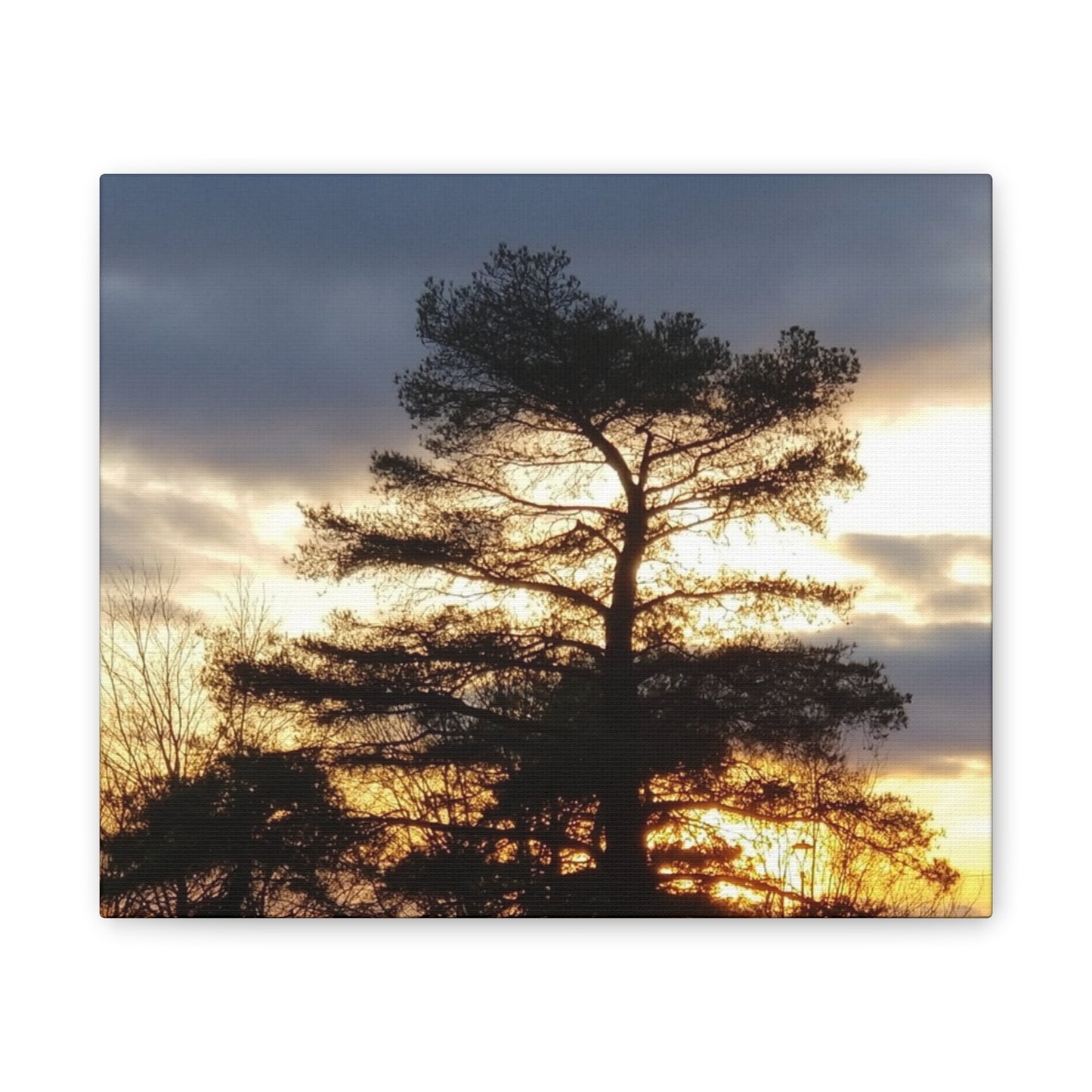 Canvas Art Print - Sunset Tree