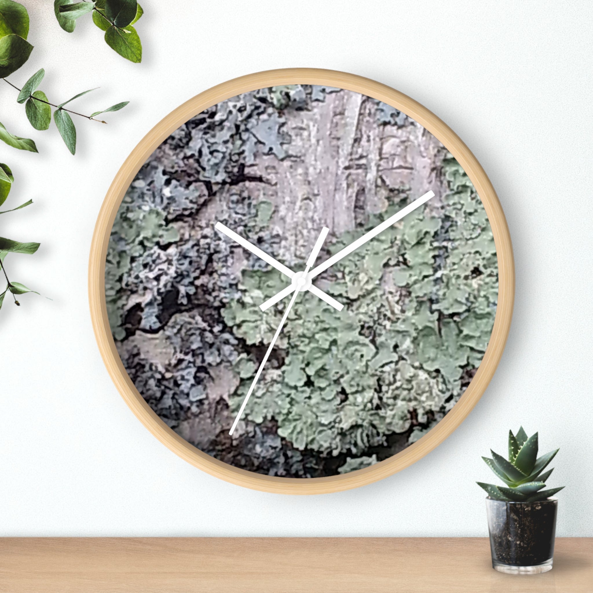 Symbiotic Veneer | Intricate Lichen Growth Silent Glass Clock | The Rooted Collection