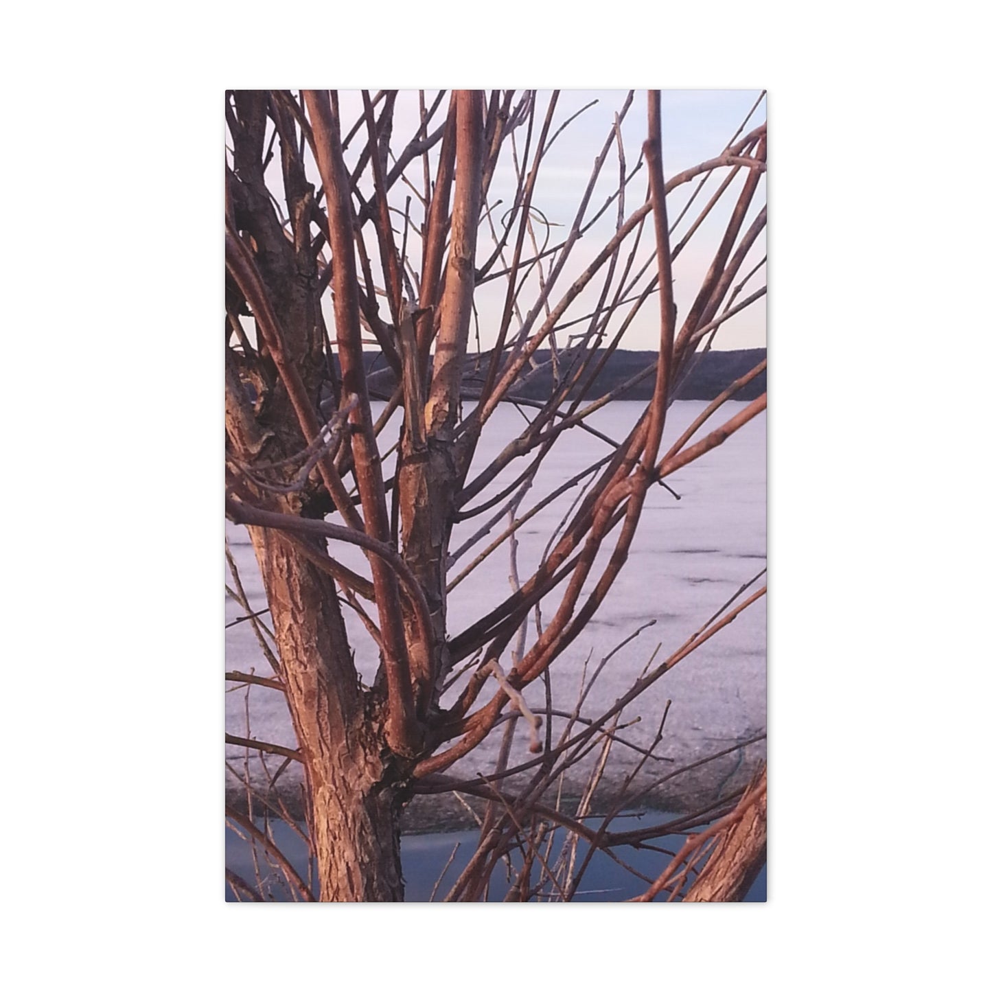 Canvas Wall Art - Nature-inspired - Serene Lake View with Bare Trees