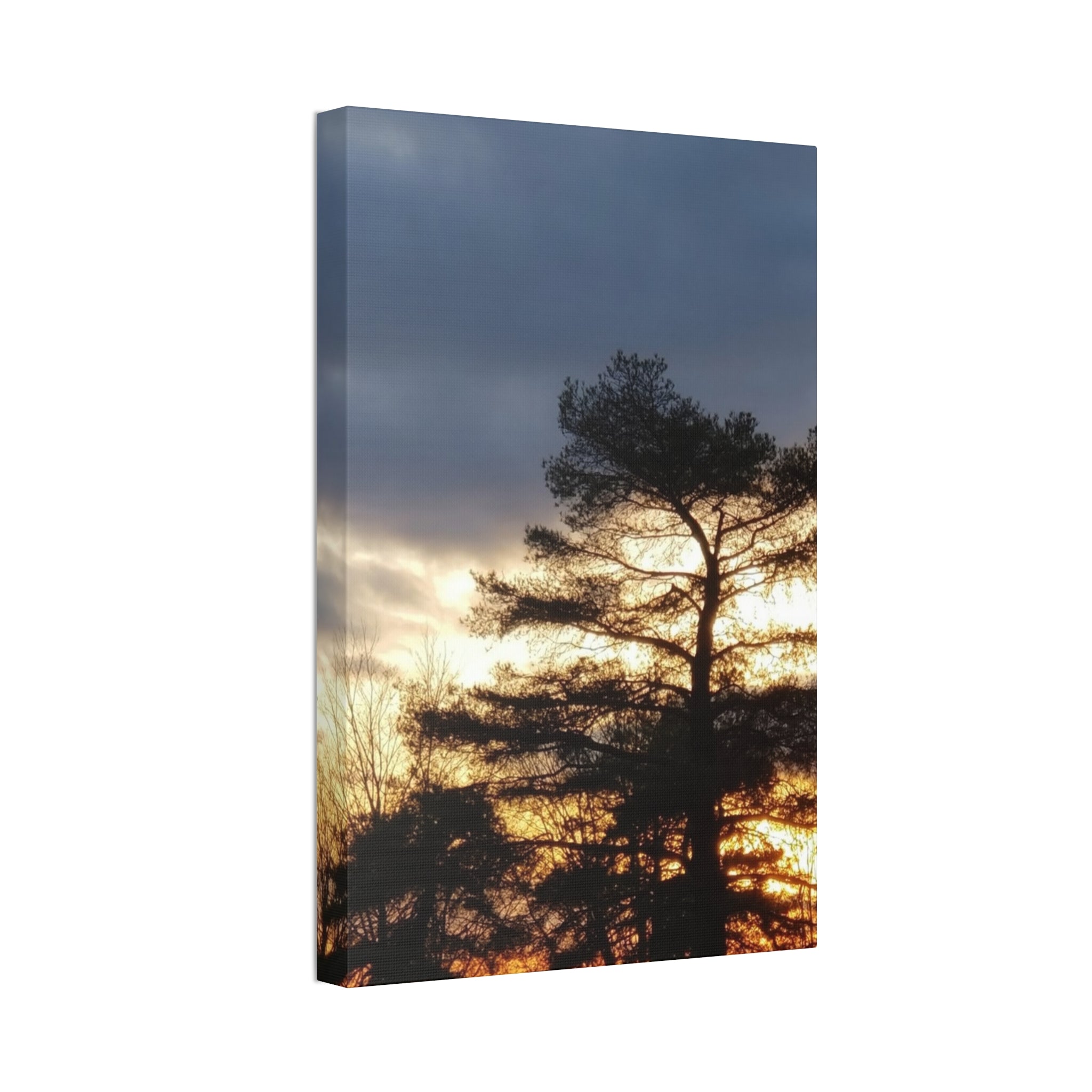 Grounded Vitality | Sunset Tree Silhouette Wall Art | The Flow Collection