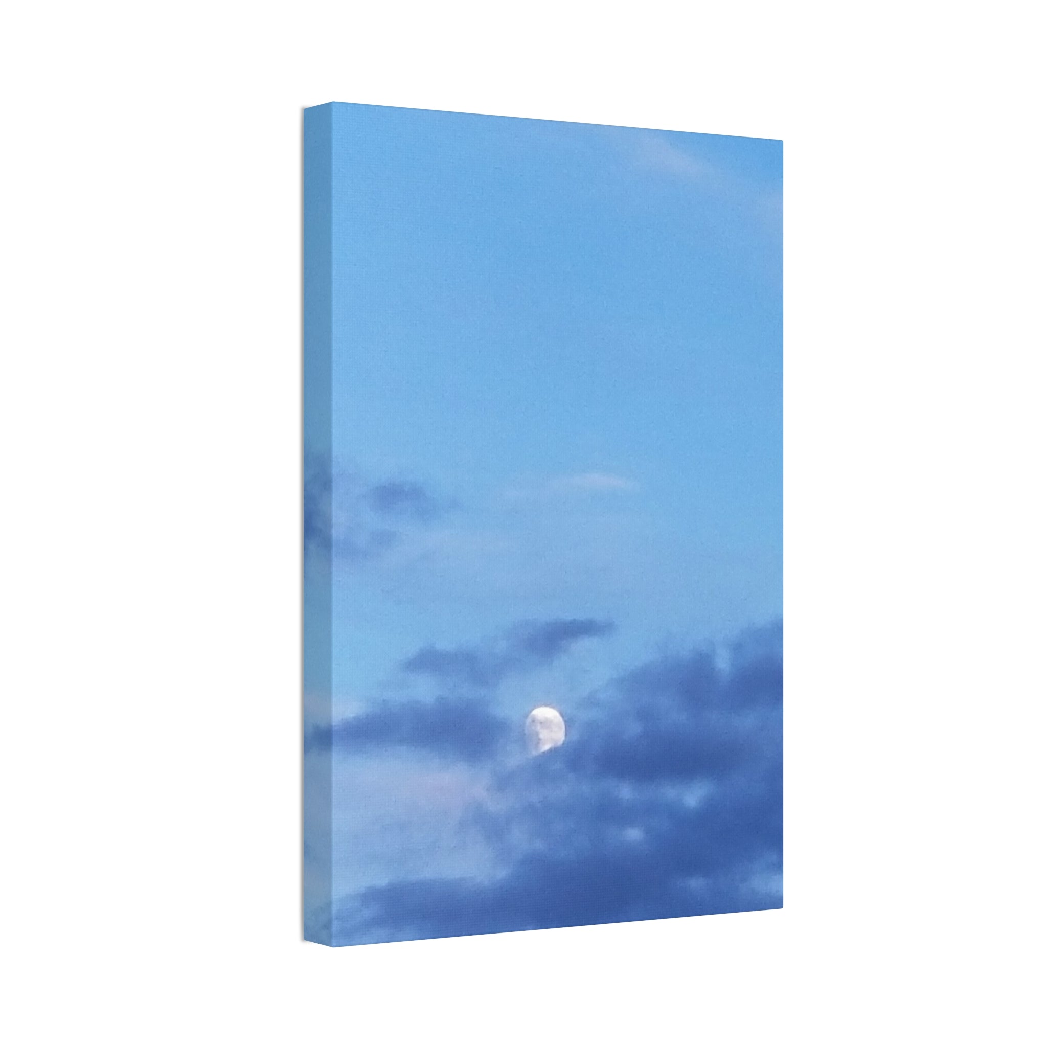 Celestial Wild | Hushed Lunar Firmament Wall Art | The Inspiration Collection
