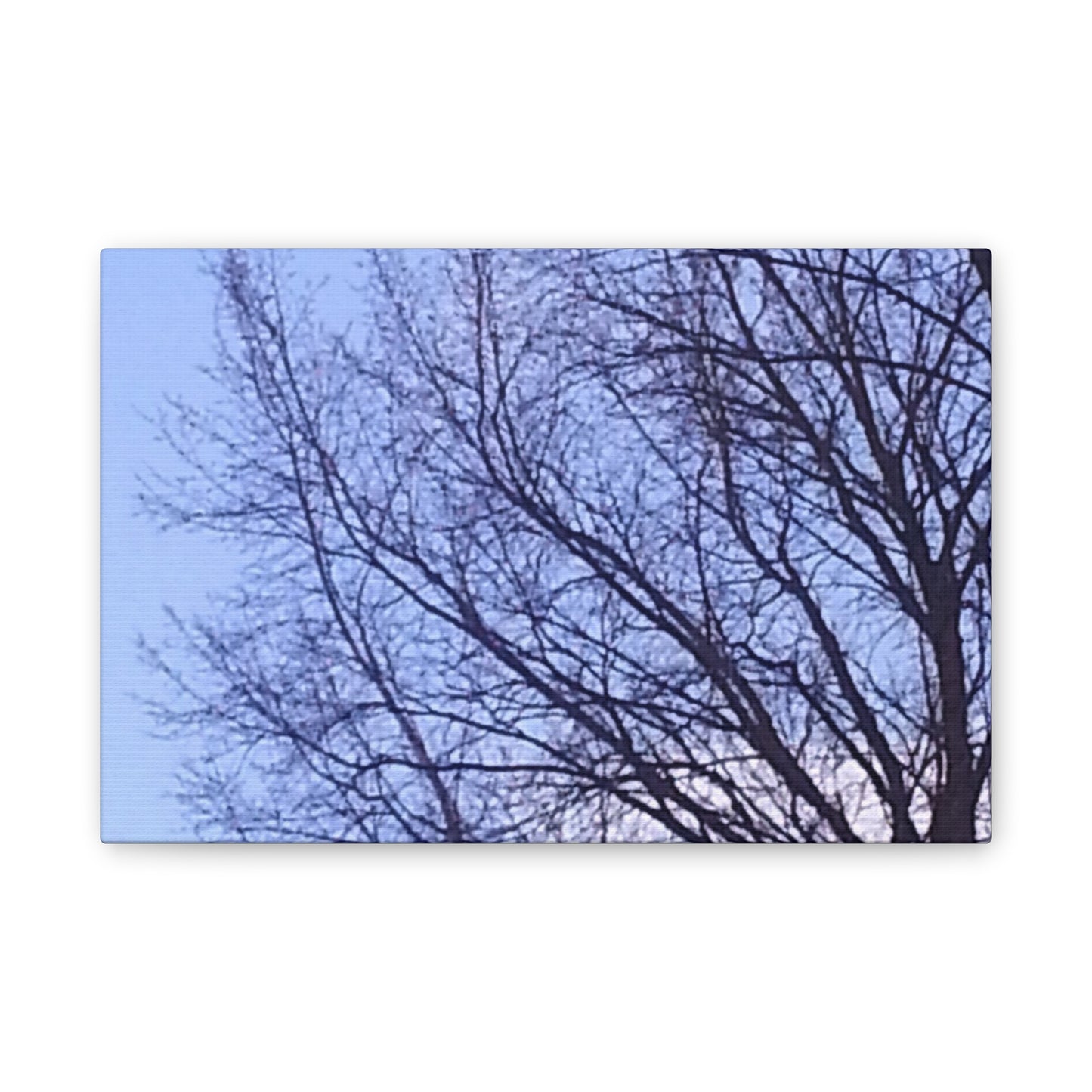 Canvas Art - Serene Tree