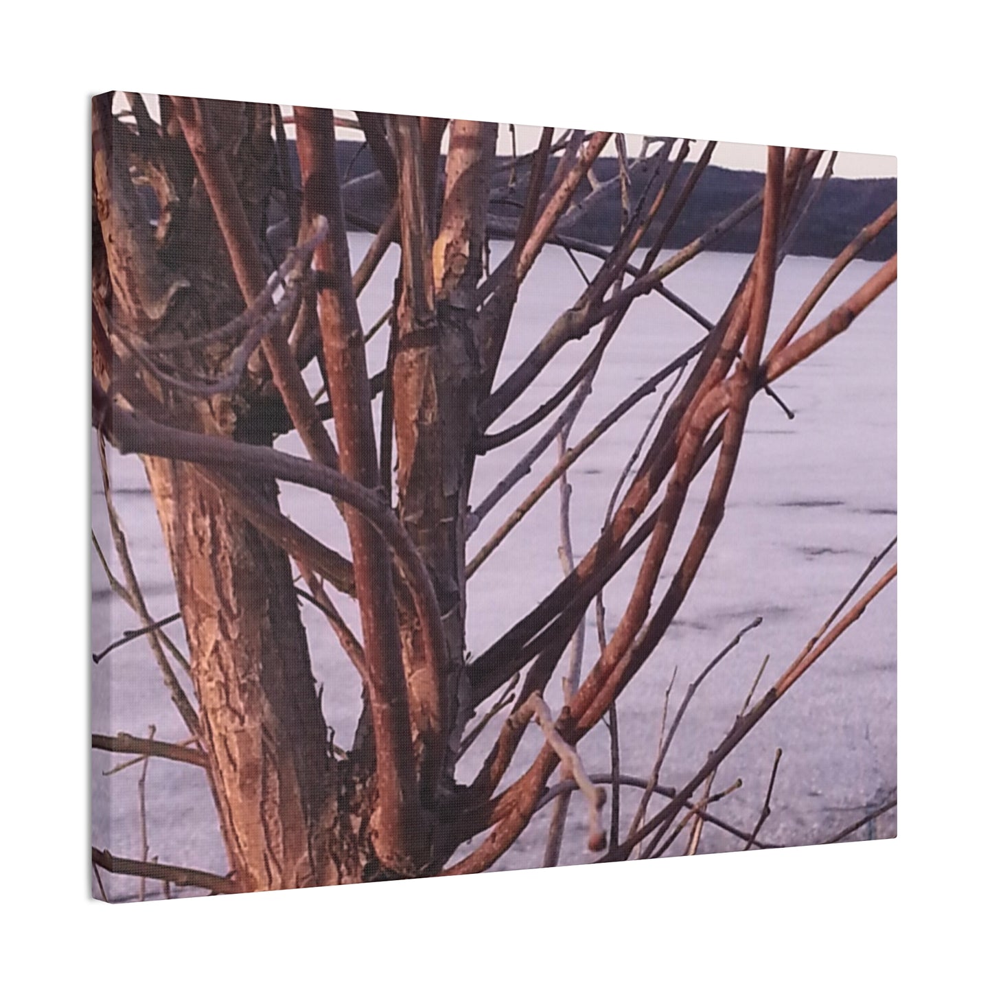 Canvas Wall Art - Nature-inspired - Serene Lake View with Bare Trees