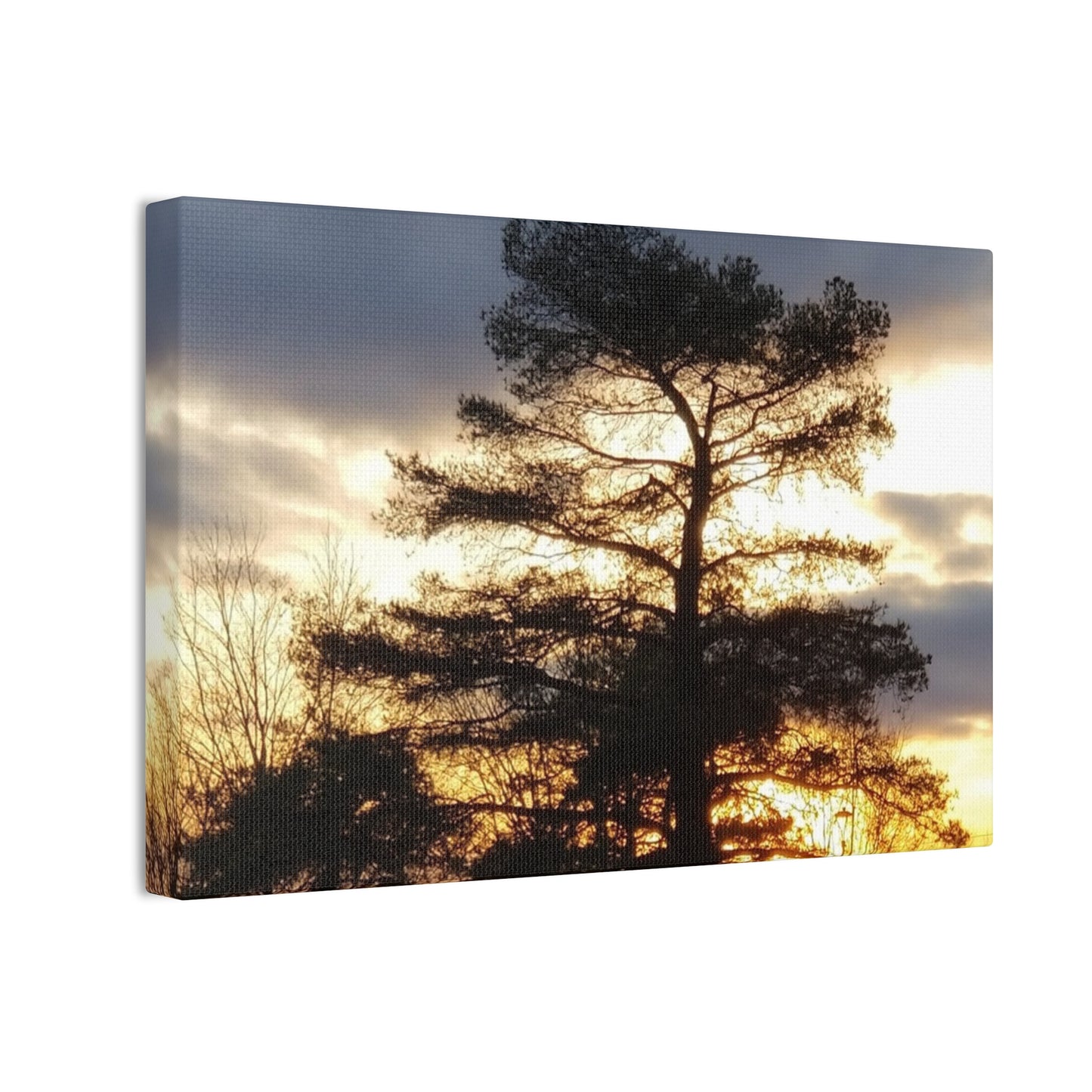 Canvas Art Print - Sunset Tree