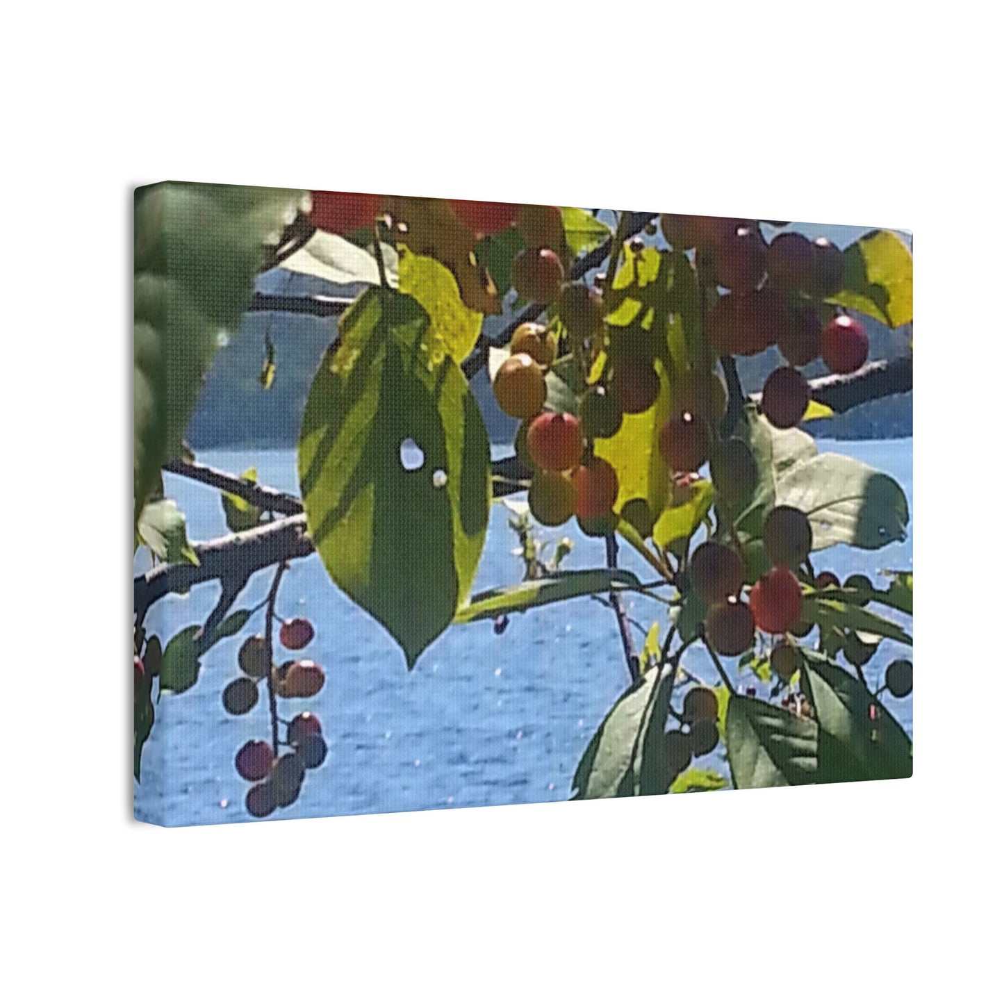 Canvas Art  Nature-Inspired - Scenic Berry Branch