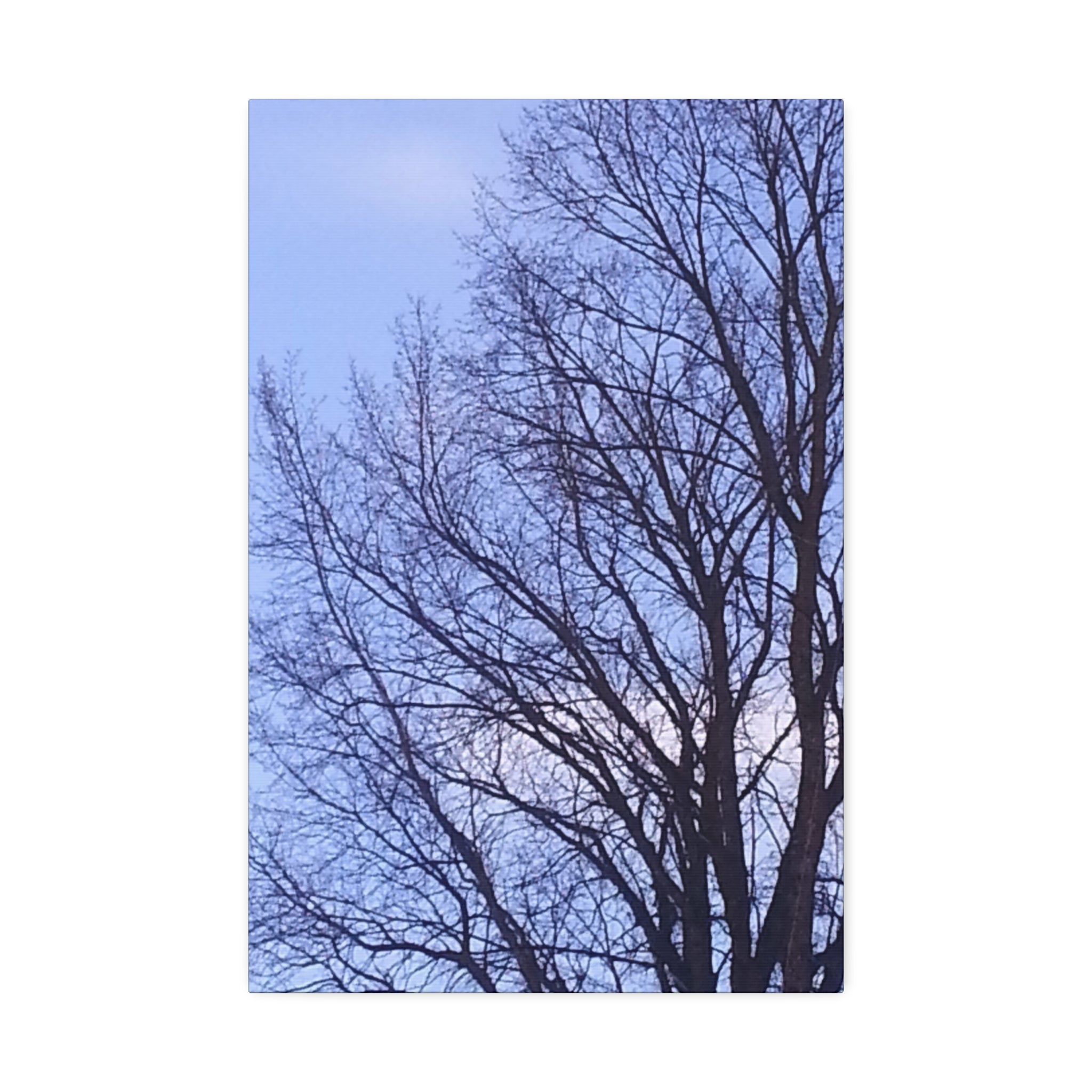 Creative Spark | Isolated Woodland Wisdom Wall Art | The Nurture Collection