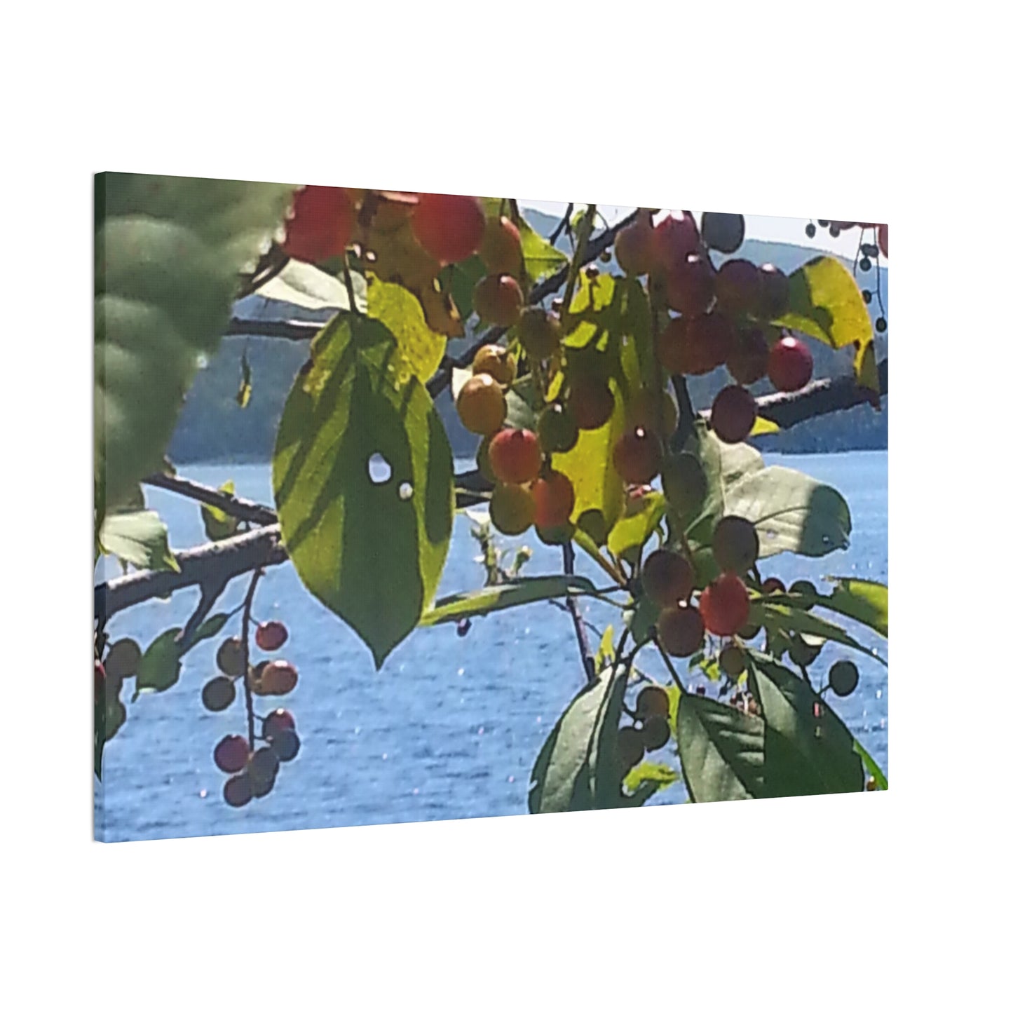 Canvas Art  Nature-Inspired - Scenic Berry Branch