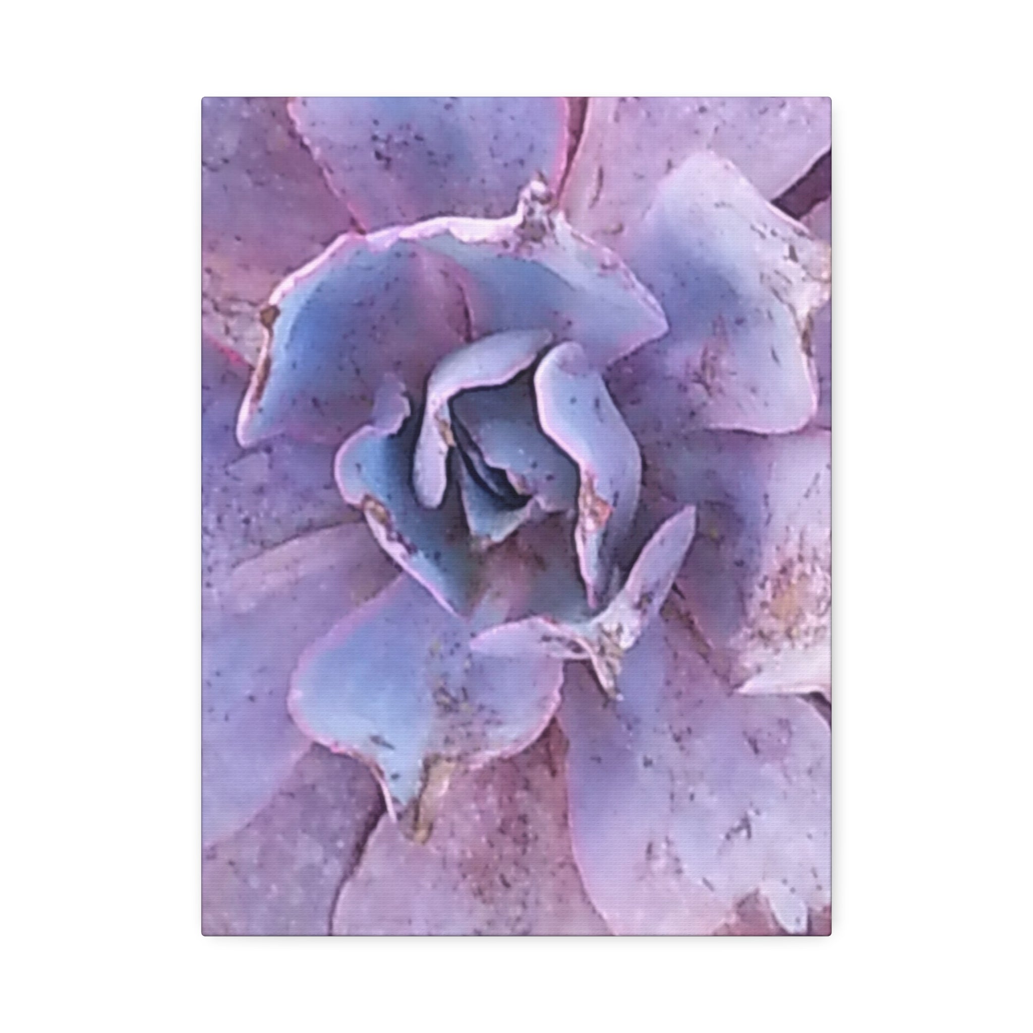 Resilient Bloom | Desert Botanical Wall Art | The Rooted Collection