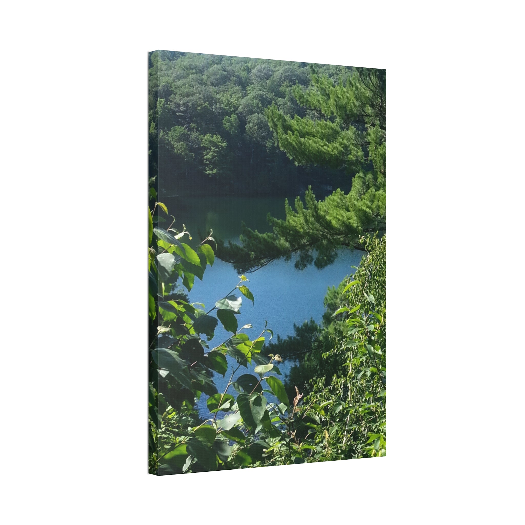 Lakeside Root | Still Water Reflection Wall Art | The Rooted Collection