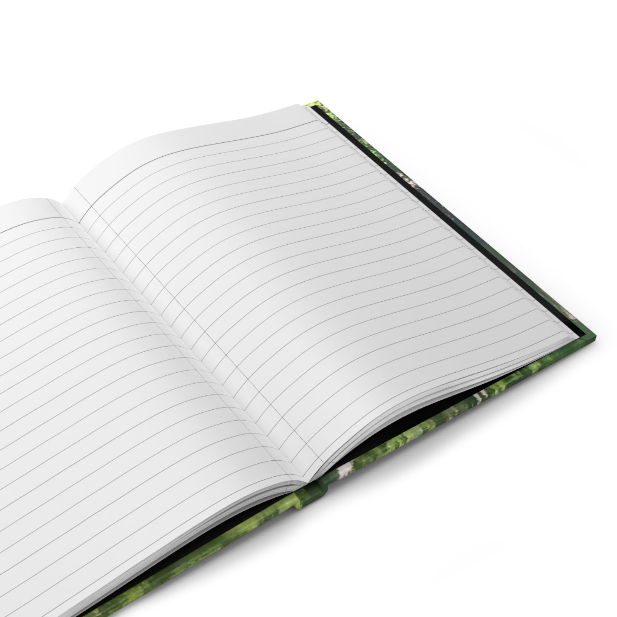 Infinite Script | Mirror Lake Nature Journal | The Nurture Collection