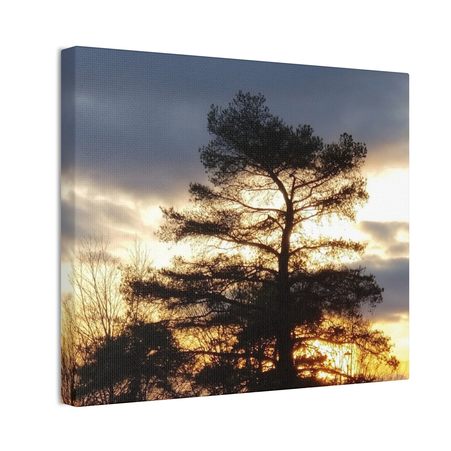 Canvas Art Print - Sunset Tree