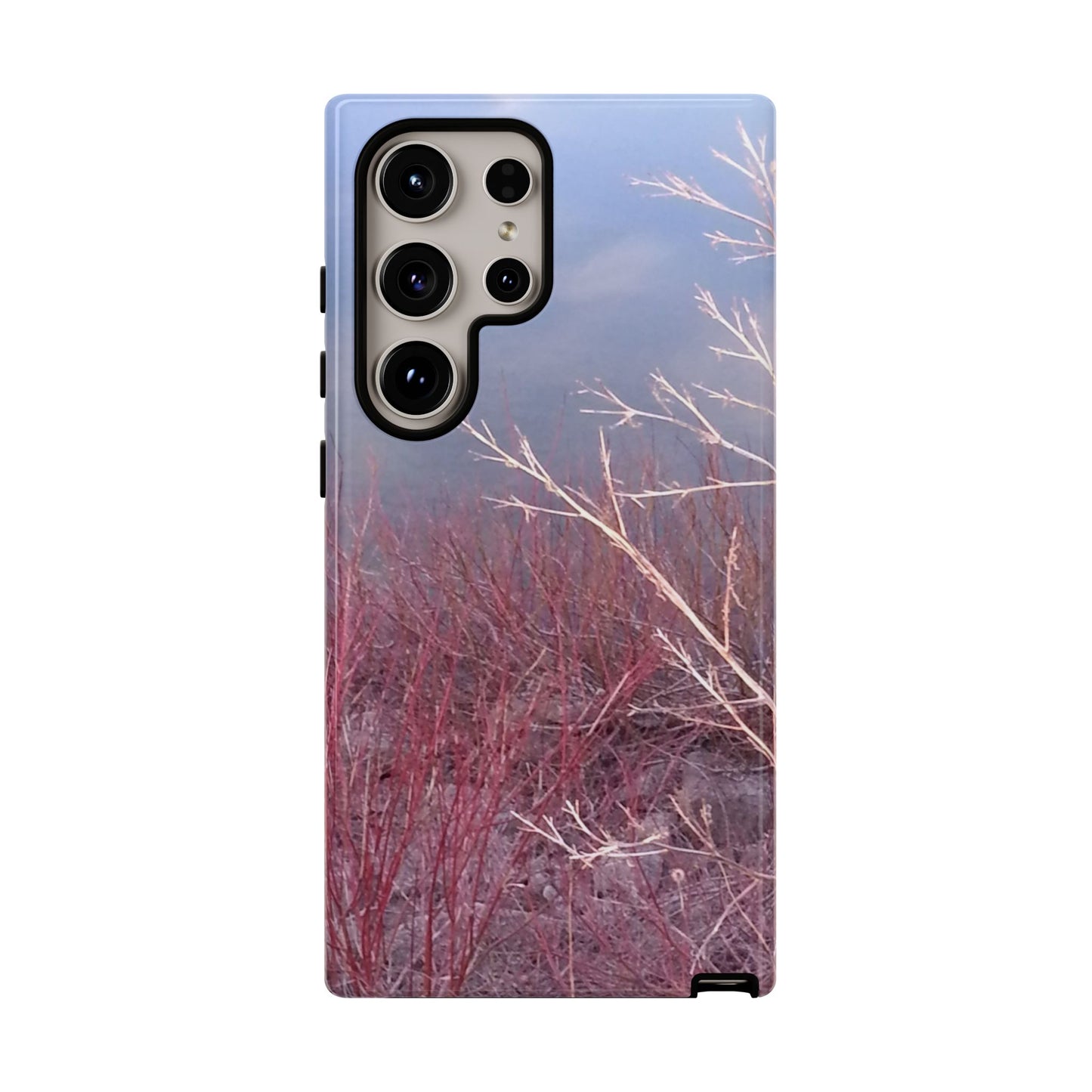 Phone Case - Nature-Inspired Winter Branches Coral Color