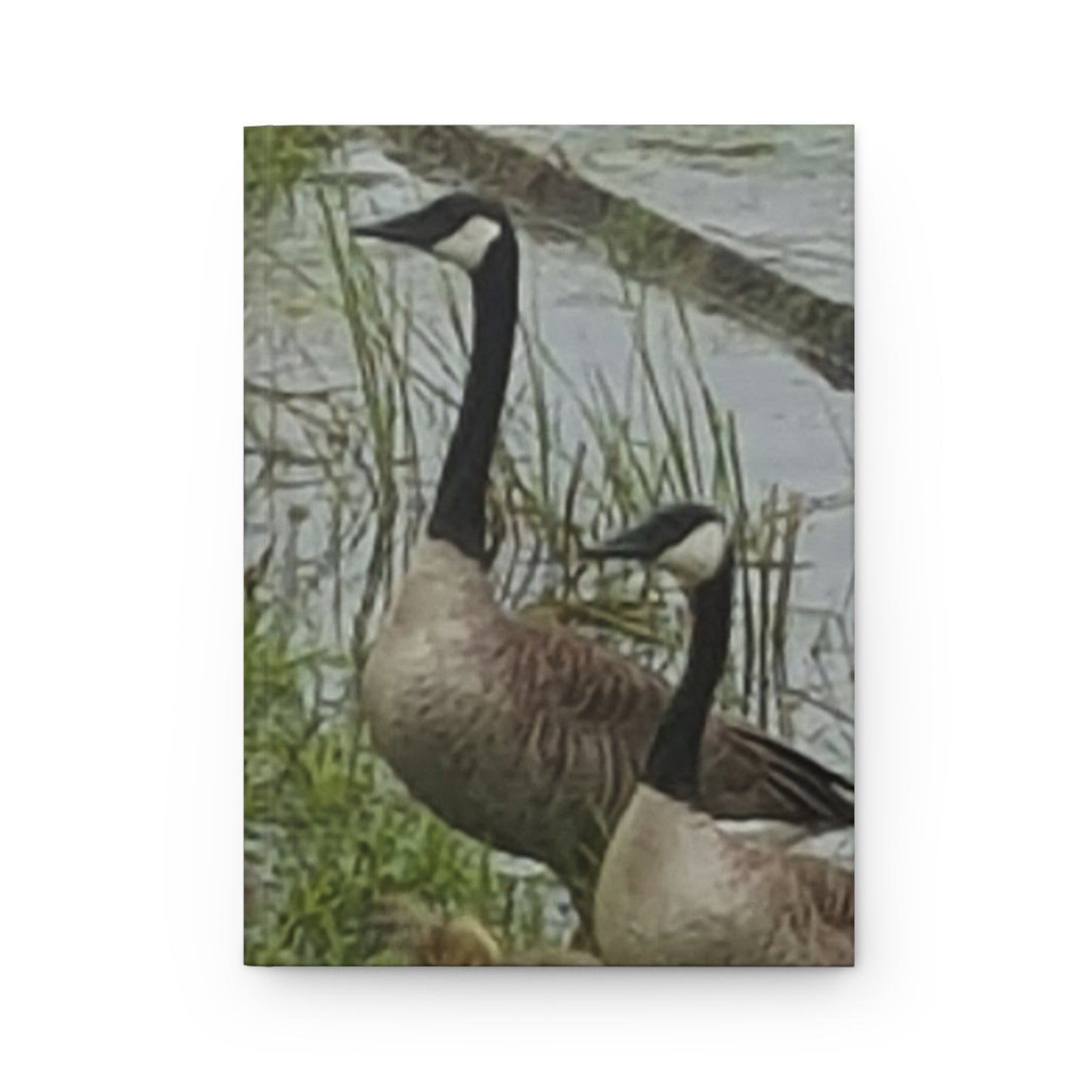 Hardcover Journal Nature-Inspired - Geese Design