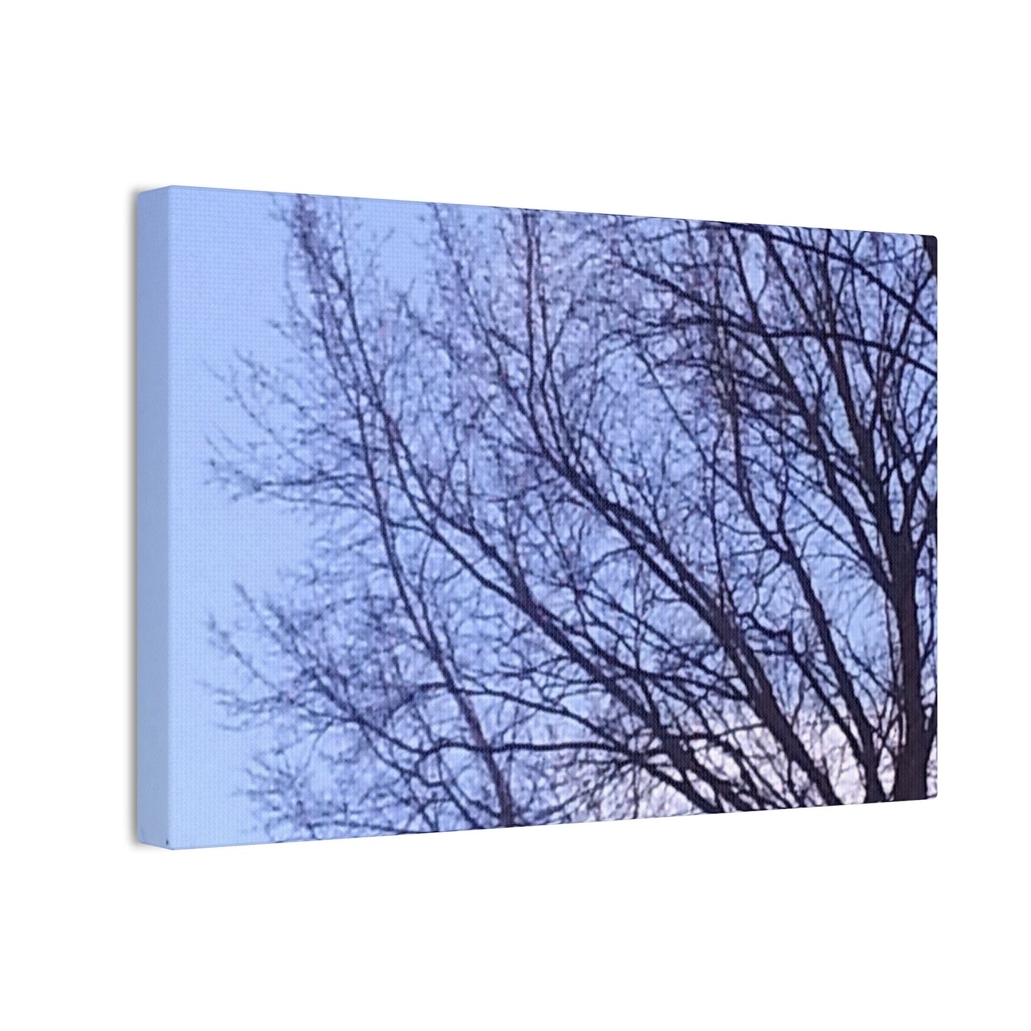 Canvas Art - Serene Tree