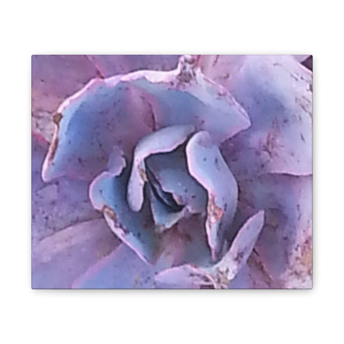 Canvas Art Print Botanical - Serene Floral Wall Decor