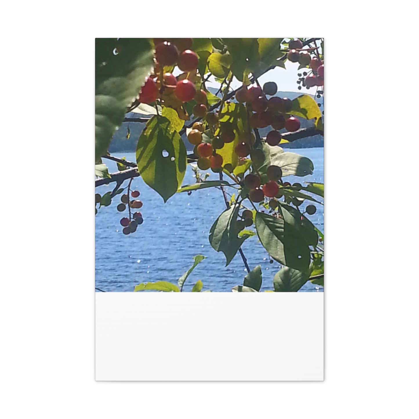 Canvas Art  Nature-Inspired - Scenic Berry Branch