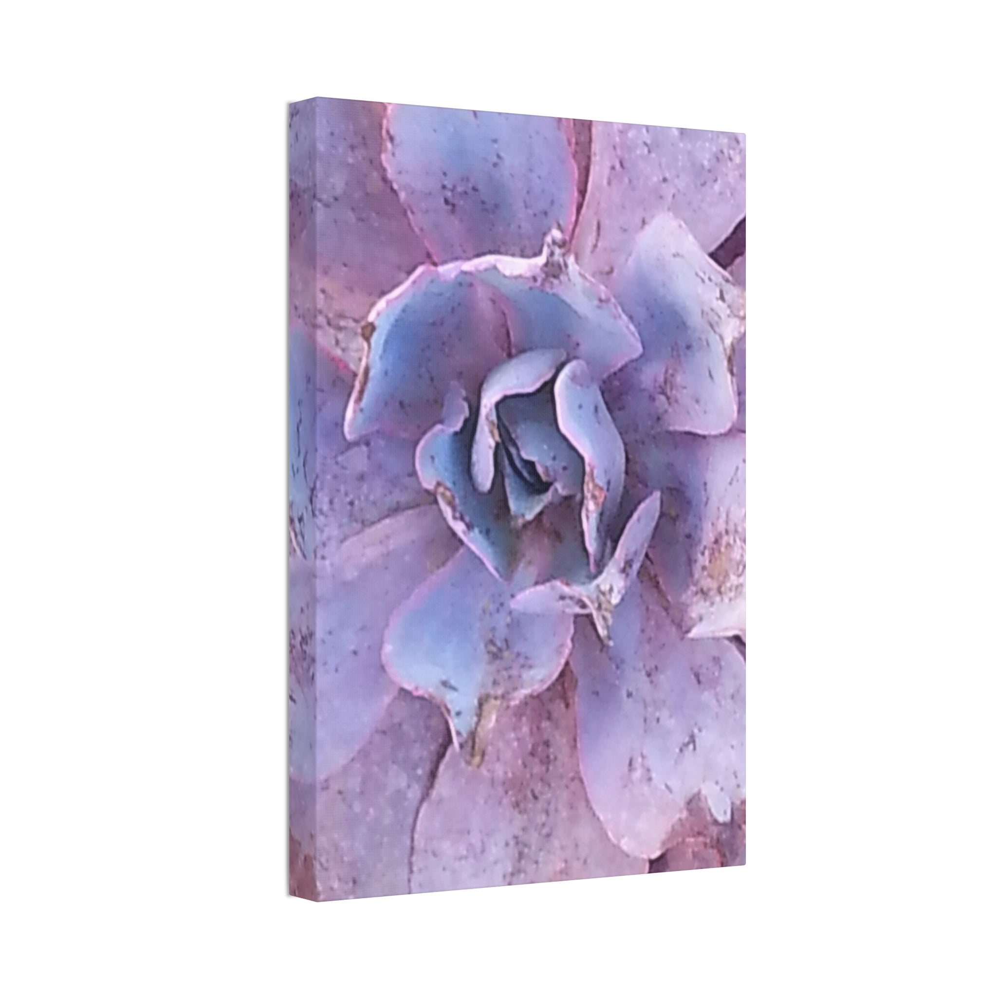 Resilient Bloom | Desert Botanical Wall Art | The Rooted Collection