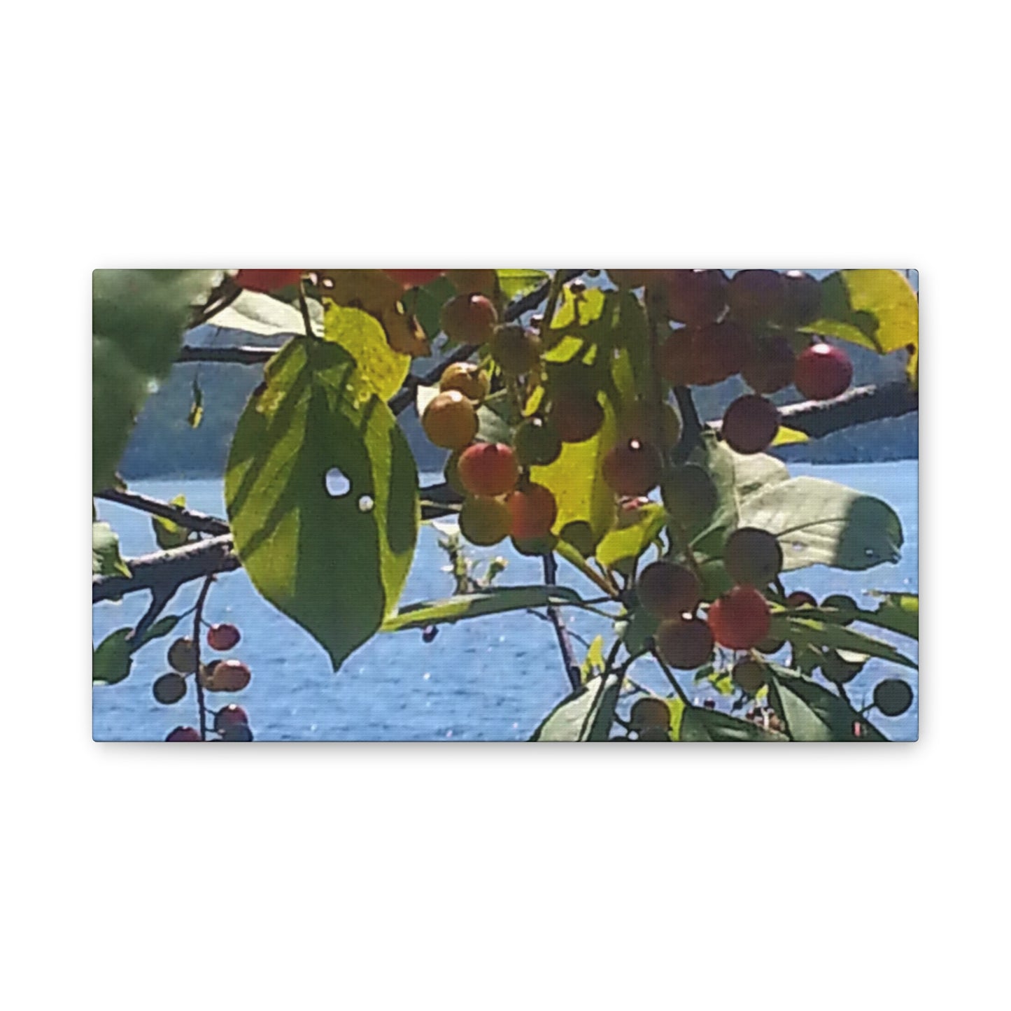 Canvas Art  Nature-Inspired - Scenic Berry Branch