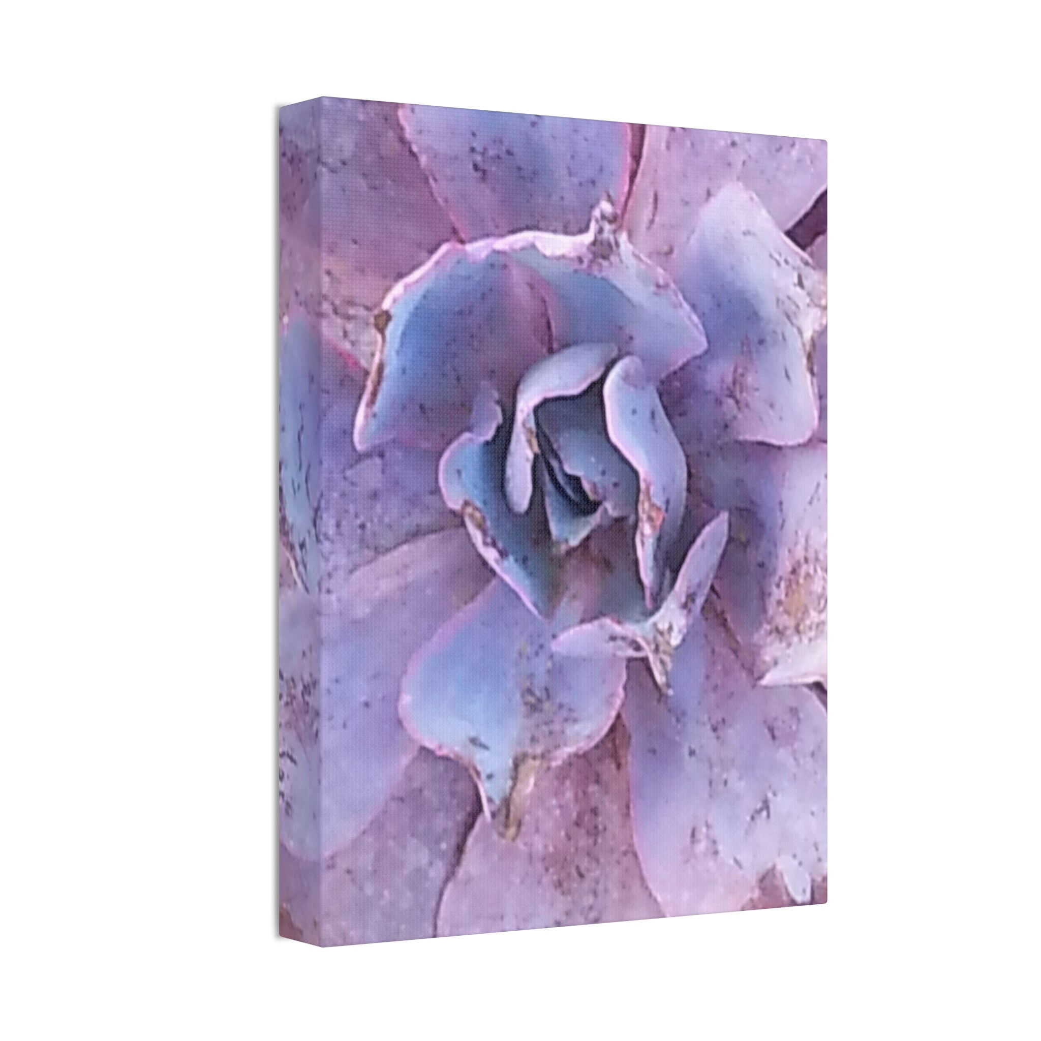 Resilient Bloom | Desert Botanical Wall Art | The Rooted Collection