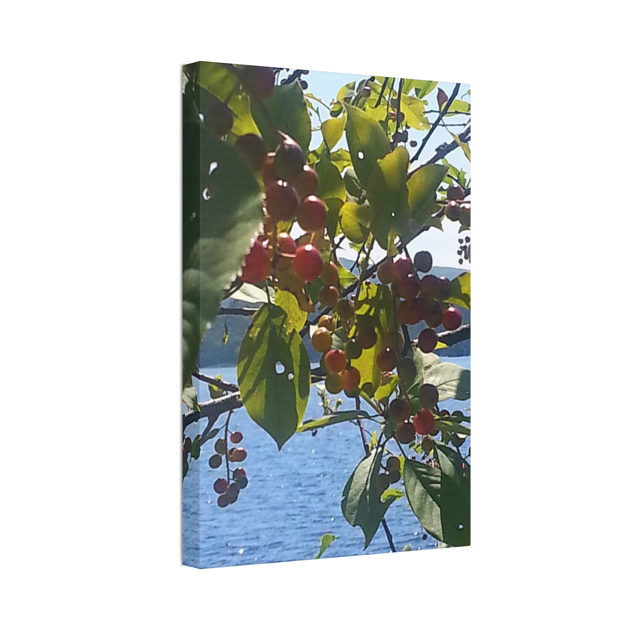 Creative Branch | Bold Organic Current Wall Art | The Flow Collection