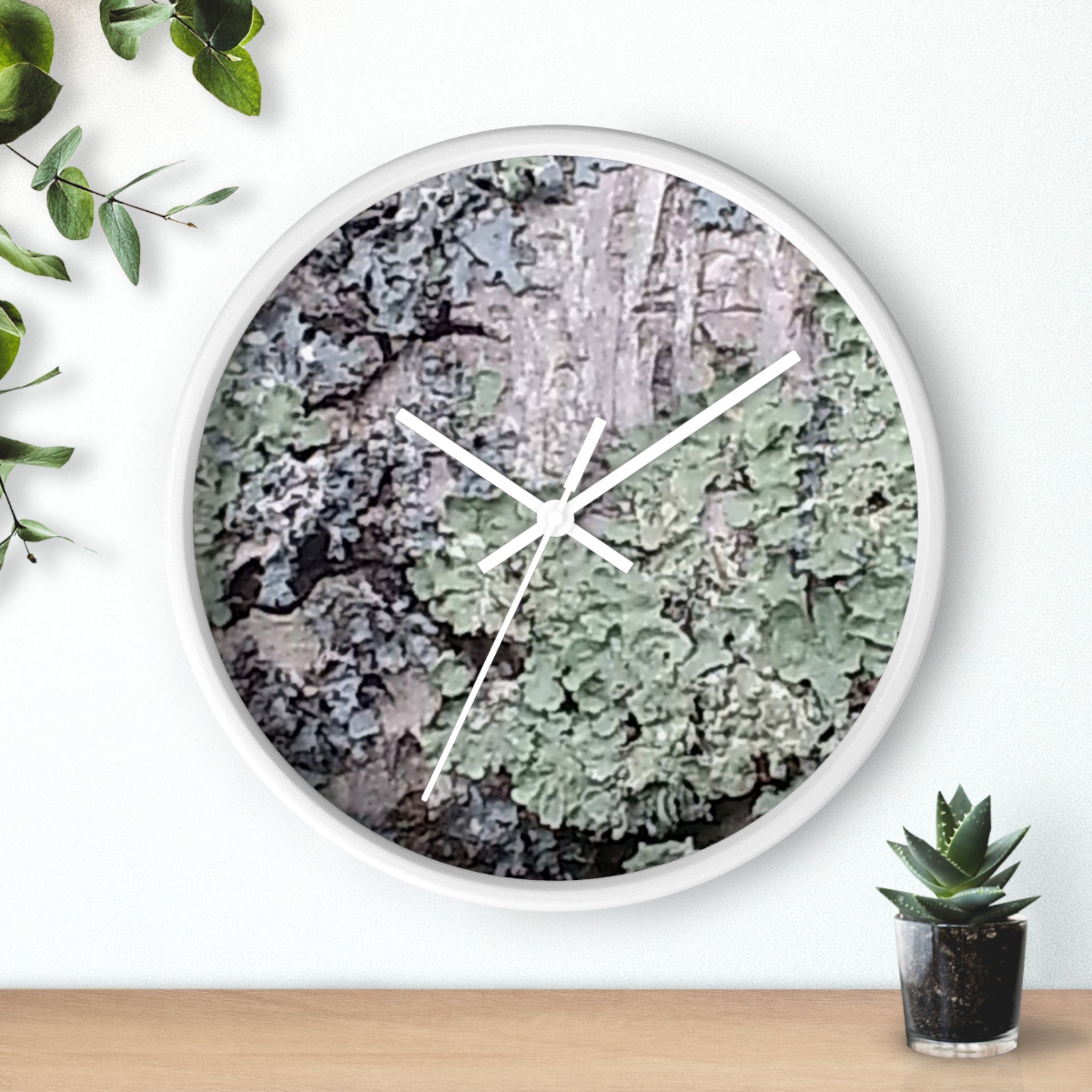 Symbiotic Veneer | Intricate Lichen Growth Silent Wall Clock | The Rooted Collection