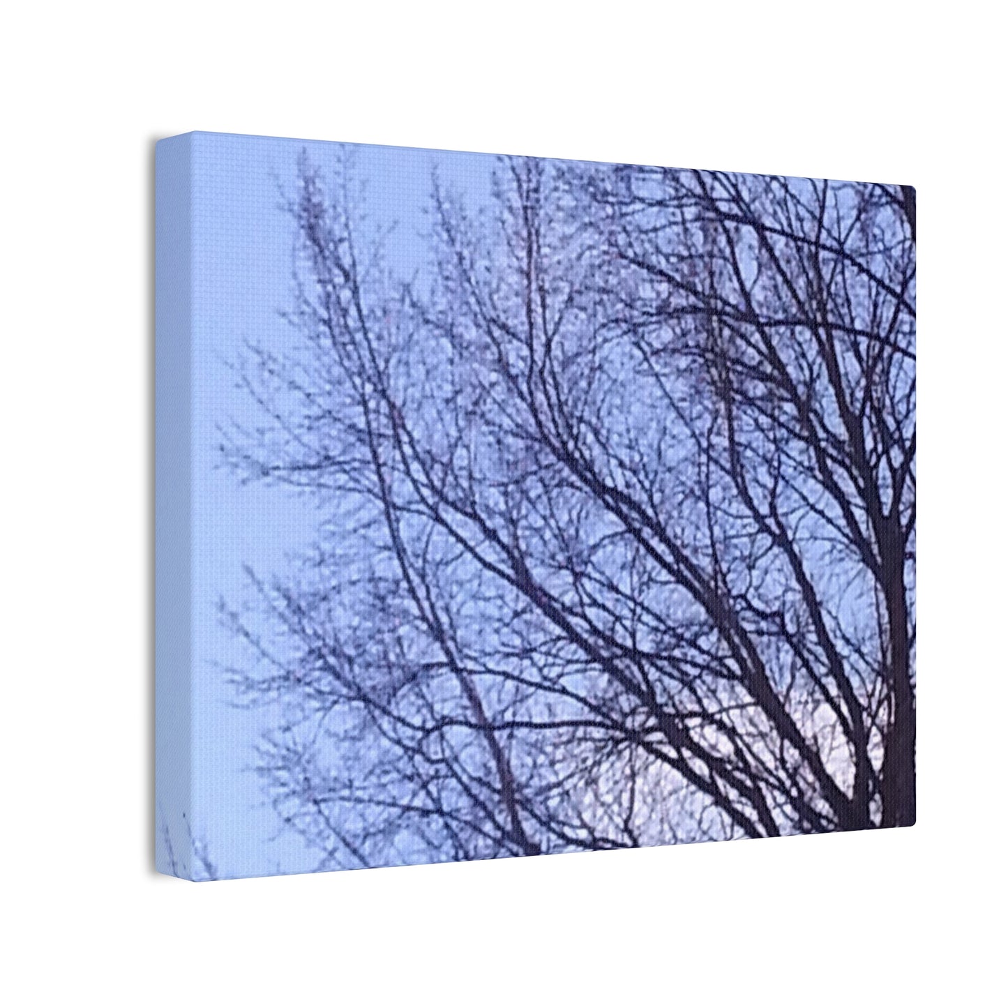 Canvas Art - Serene Tree