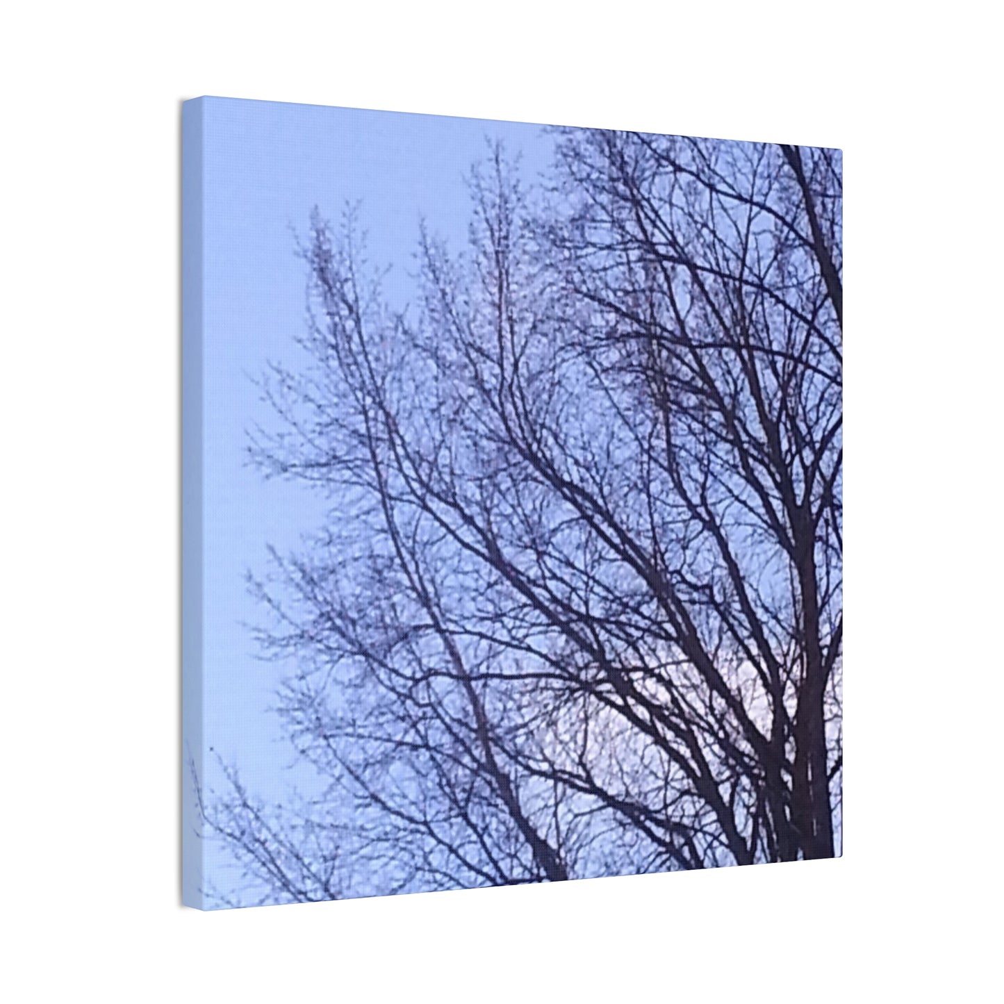 Canvas Art - Serene Tree