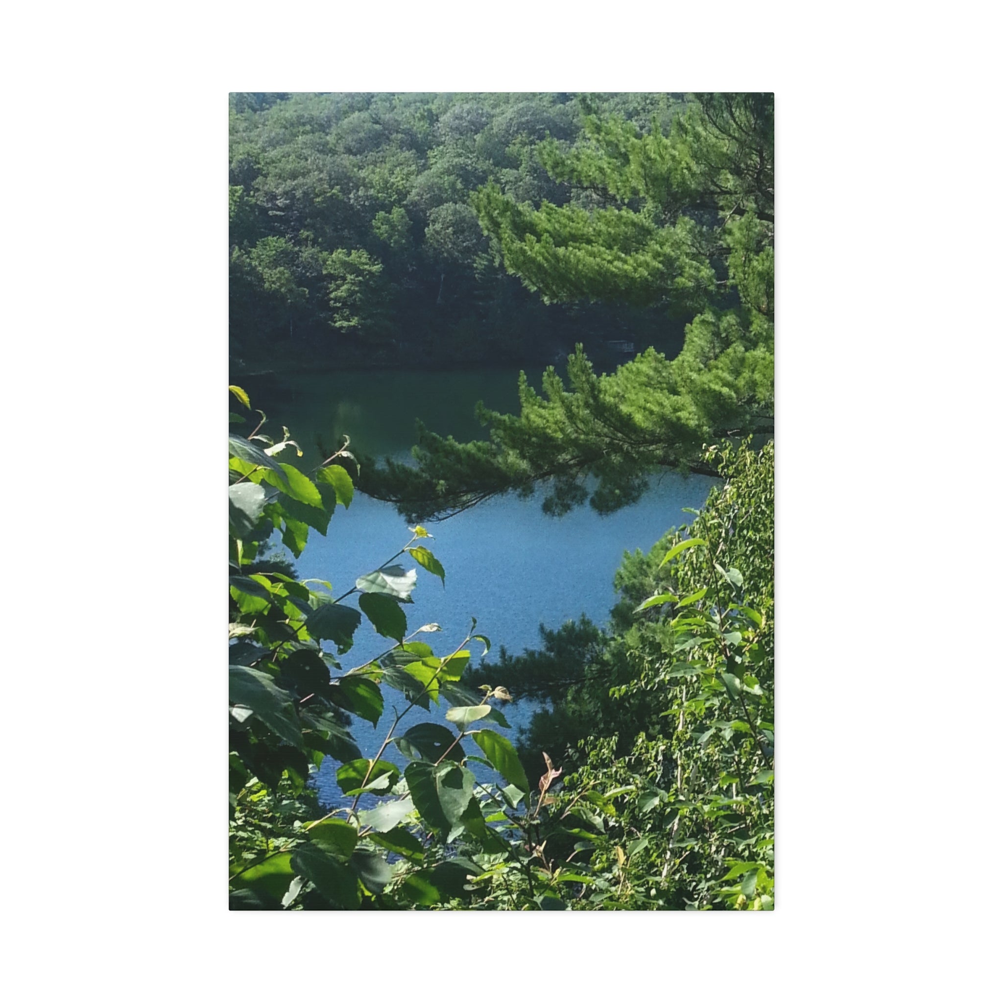 Lakeside Root | Still Water Reflection Wall Art | The Rooted Collection