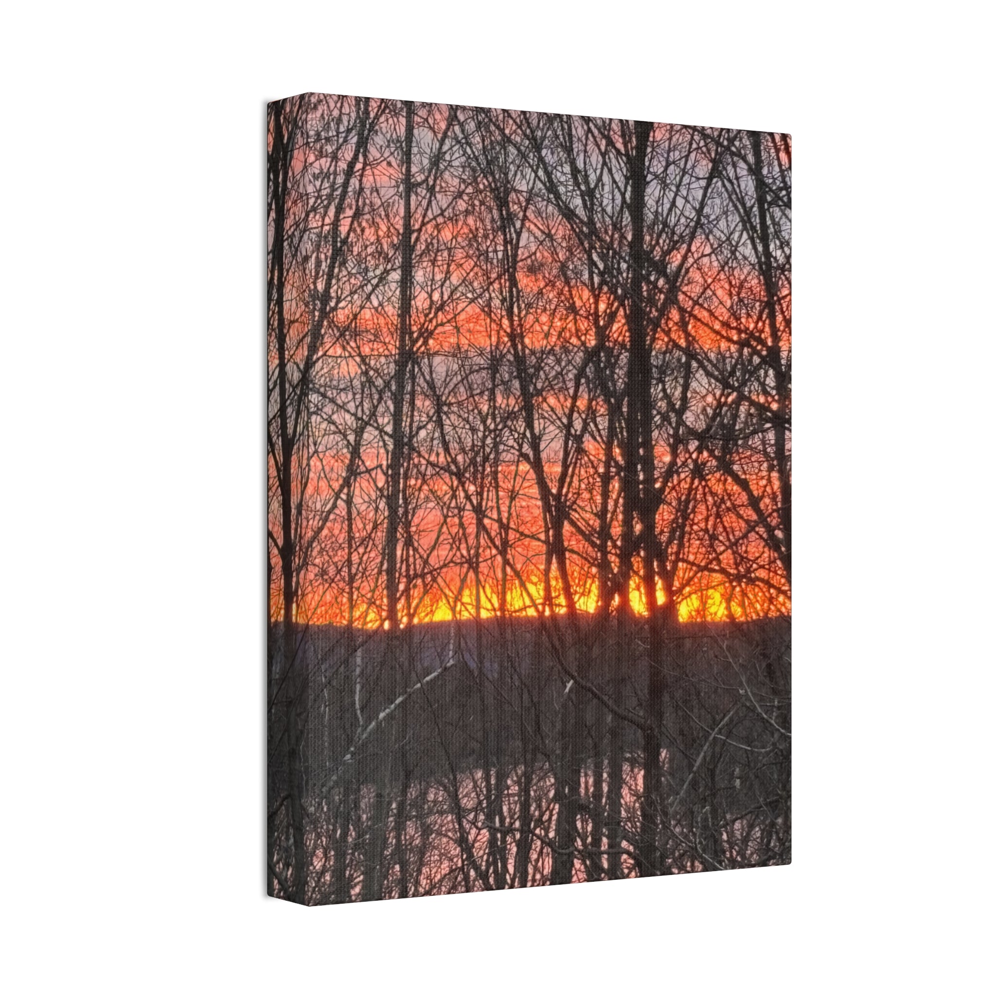 Gilded Forest | Sun-Drenched Timber  Wall Art | The Nurture Collection