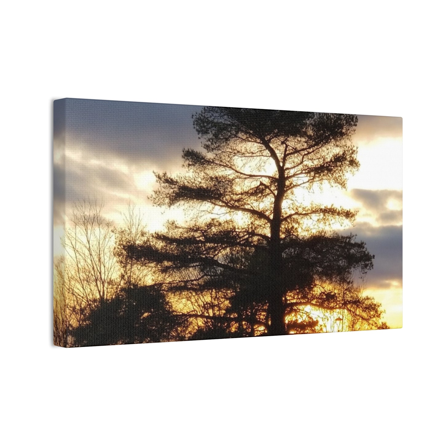 Canvas Art Print - Sunset Tree