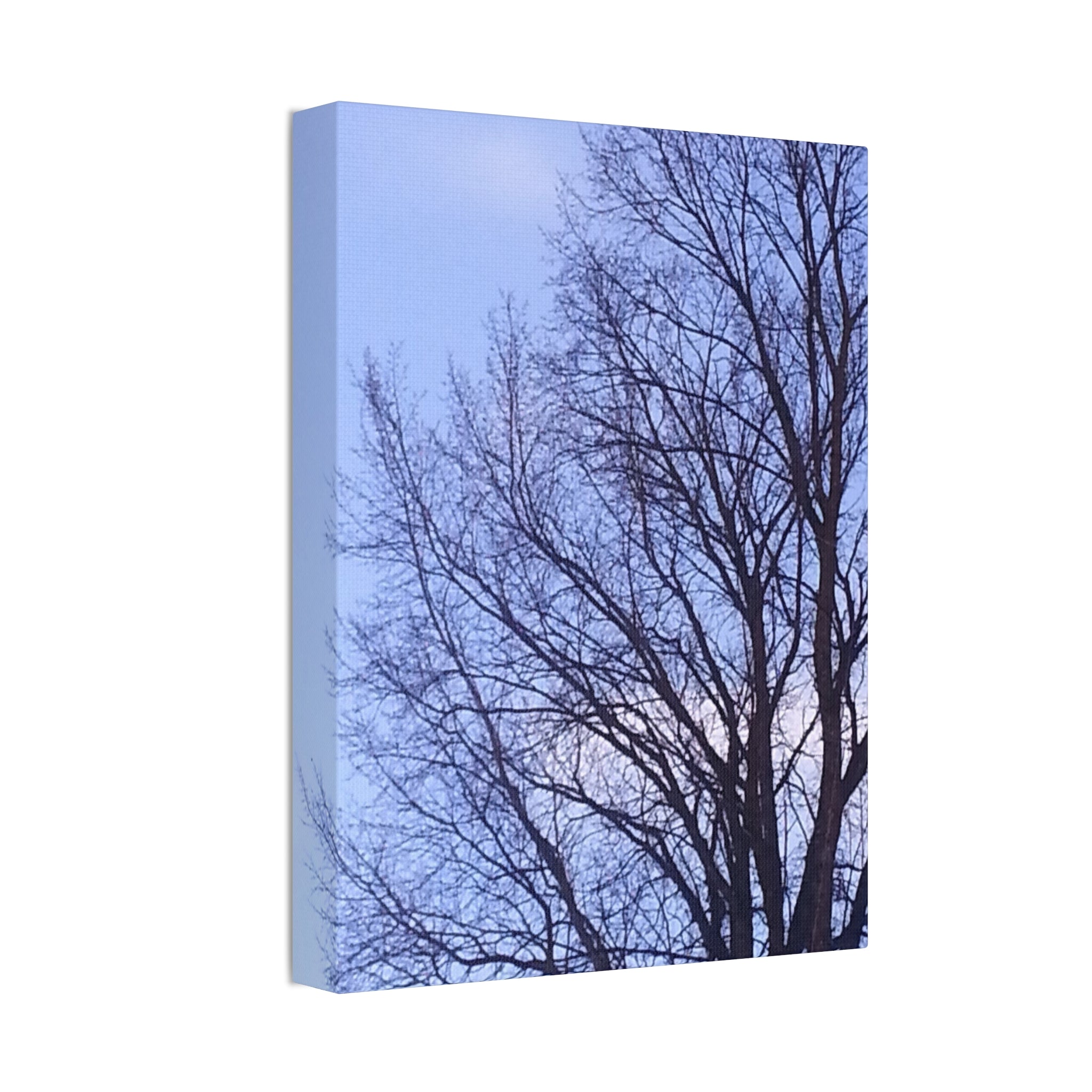 Creative Spark | Isolated Woodland Wisdom Wall Art | The Nurture Collection