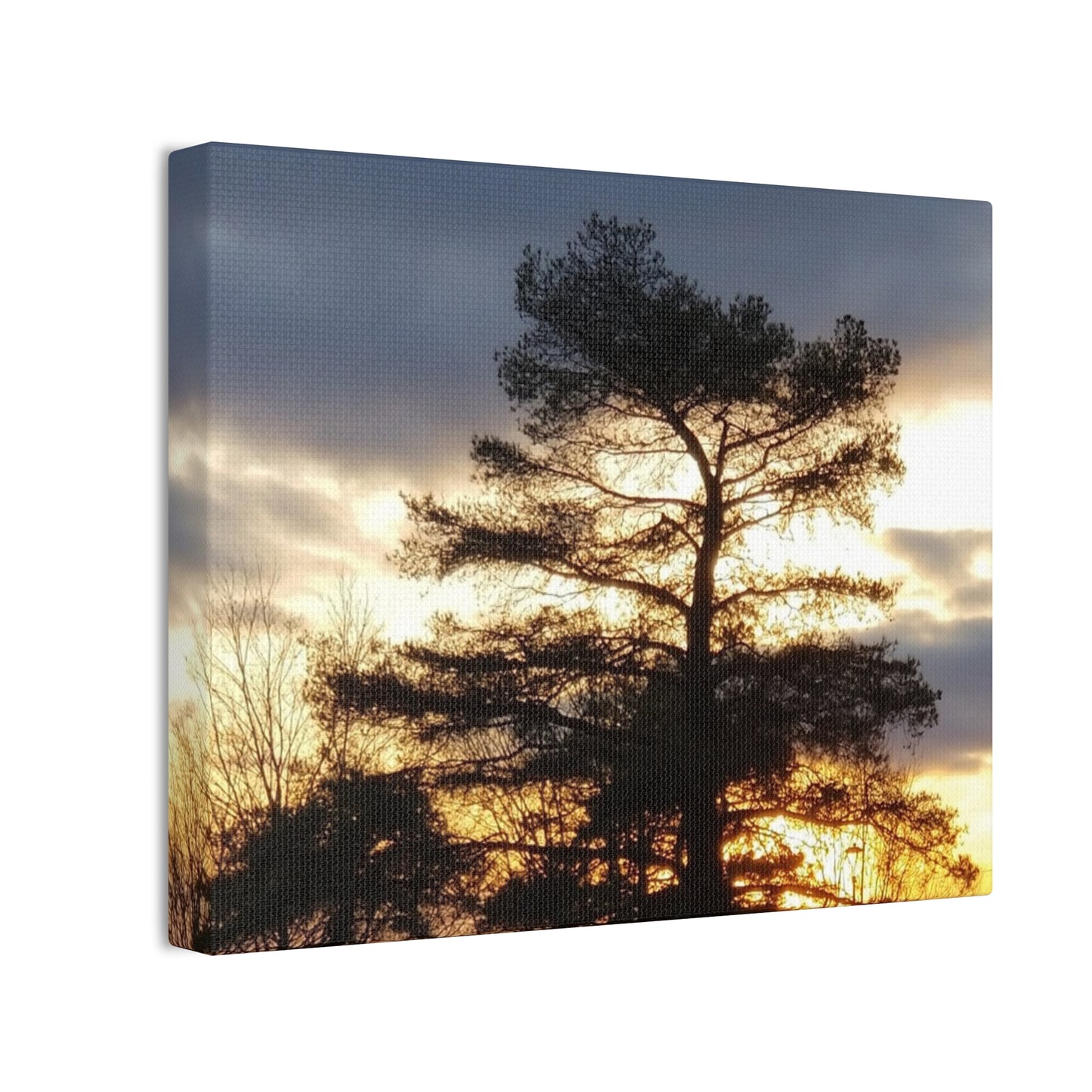 Canvas Art Print - Sunset Tree