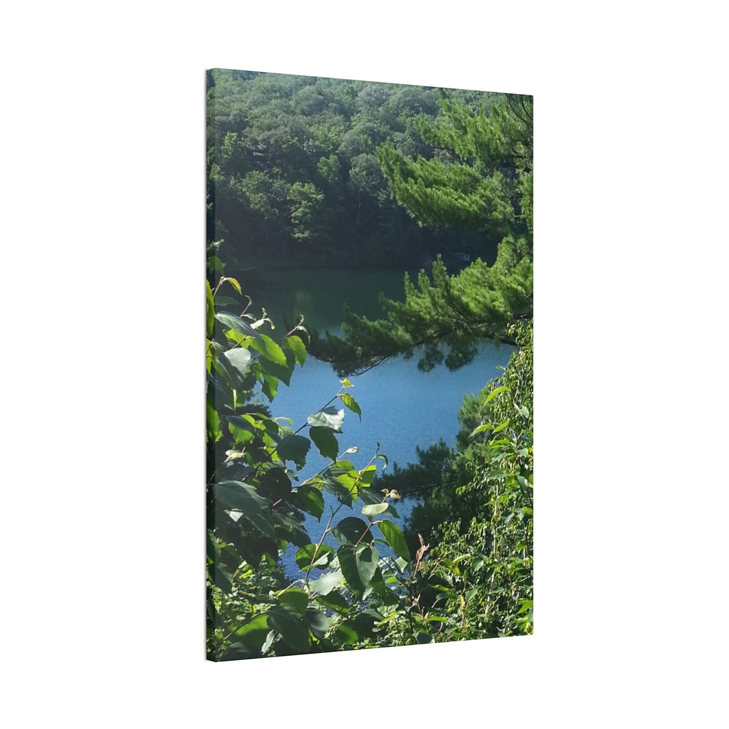 Canvas Art - Nature-inspired Overlooking the Lake