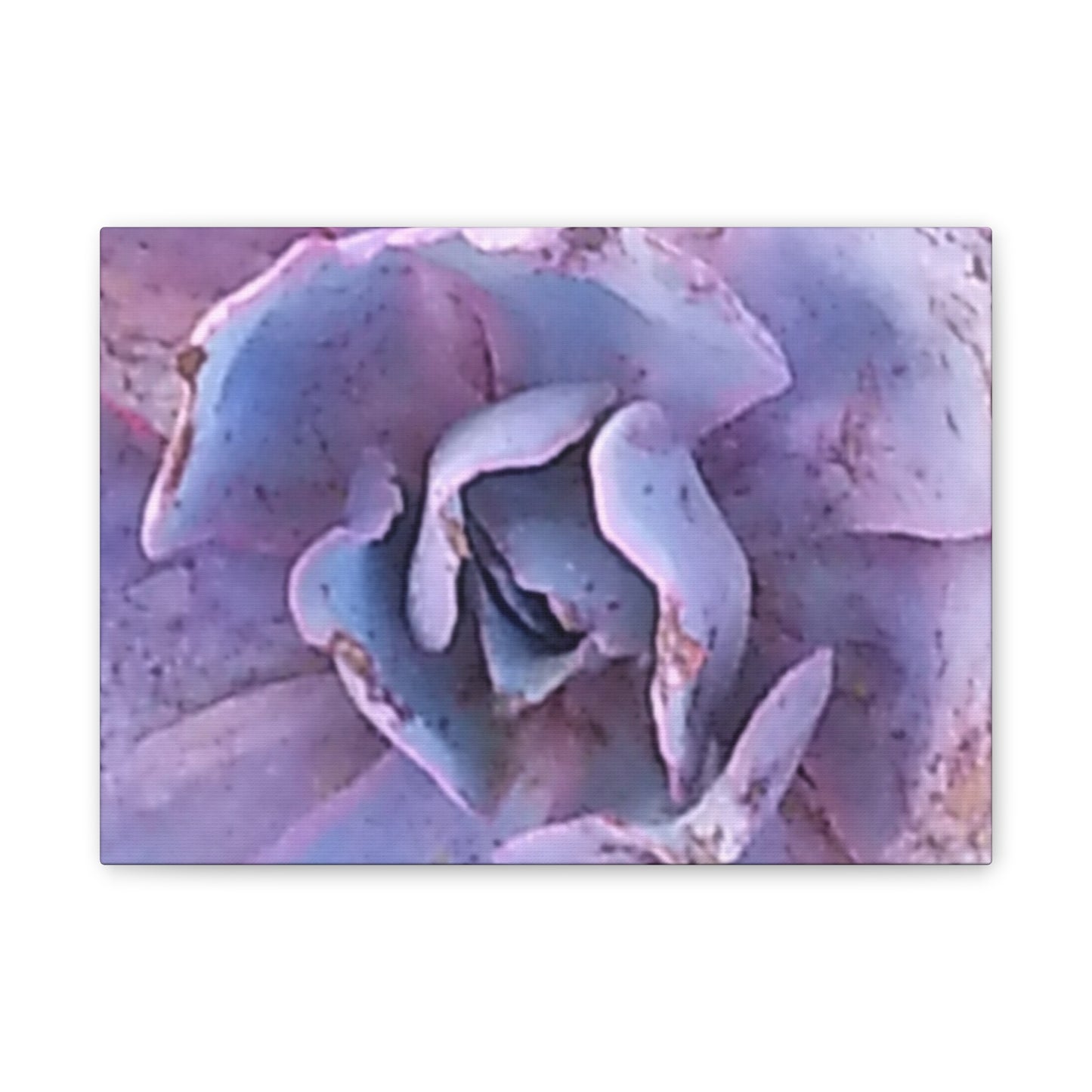 Canvas Art Print Botanical - Serene Floral Wall Decor