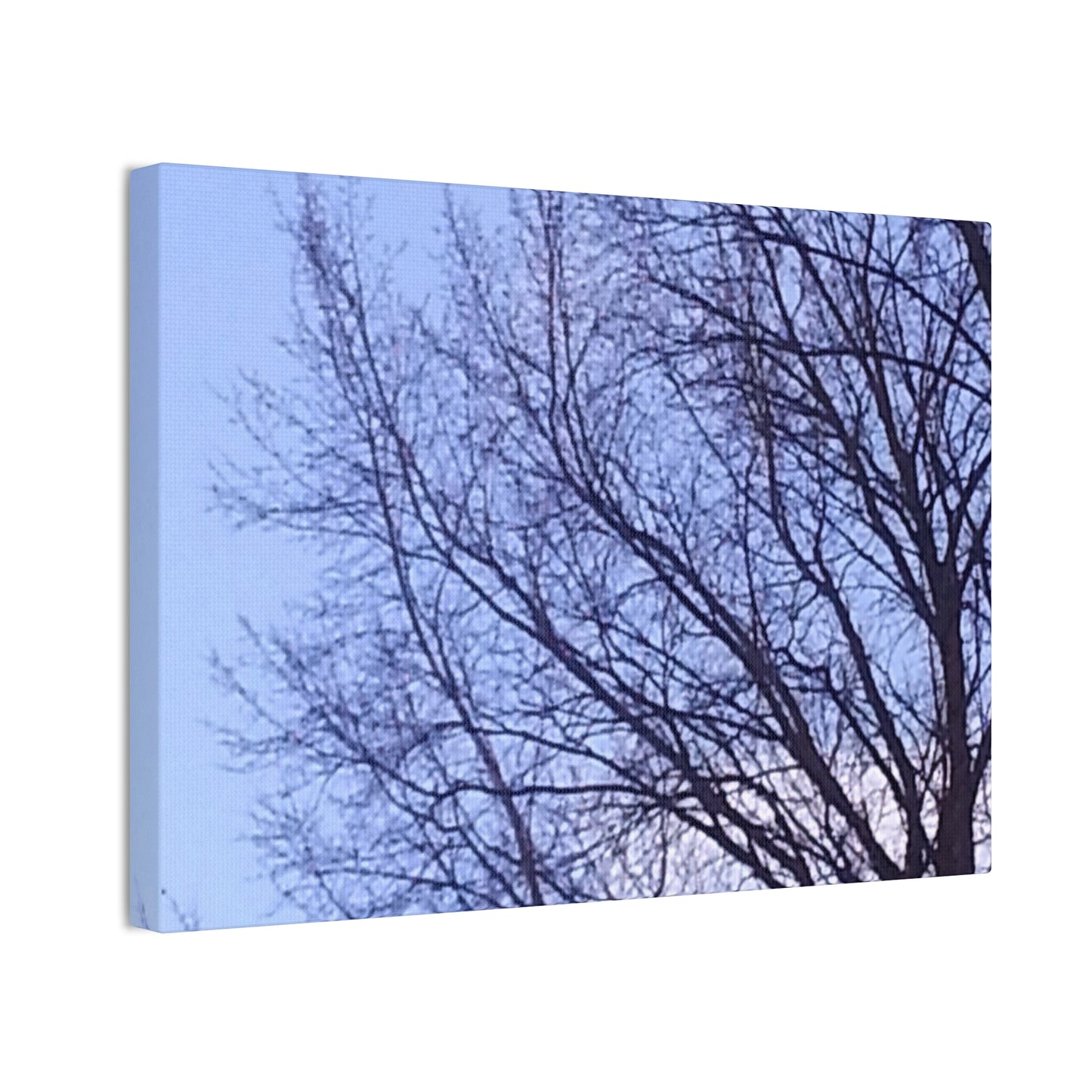 Canvas Art - Serene Tree