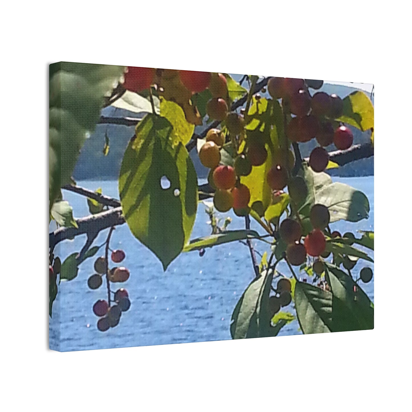 Canvas Art  Nature-Inspired - Scenic Berry Branch