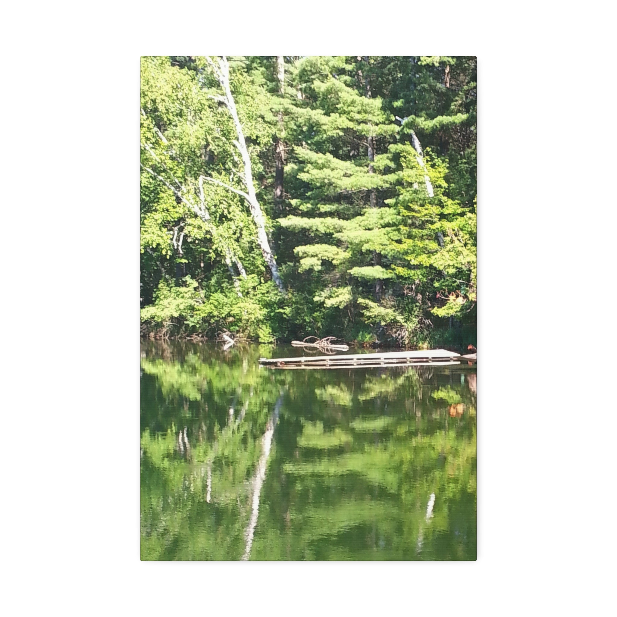 Echoed Stillness | Sheltered Green Lake Wall Art | The Nurture Collection