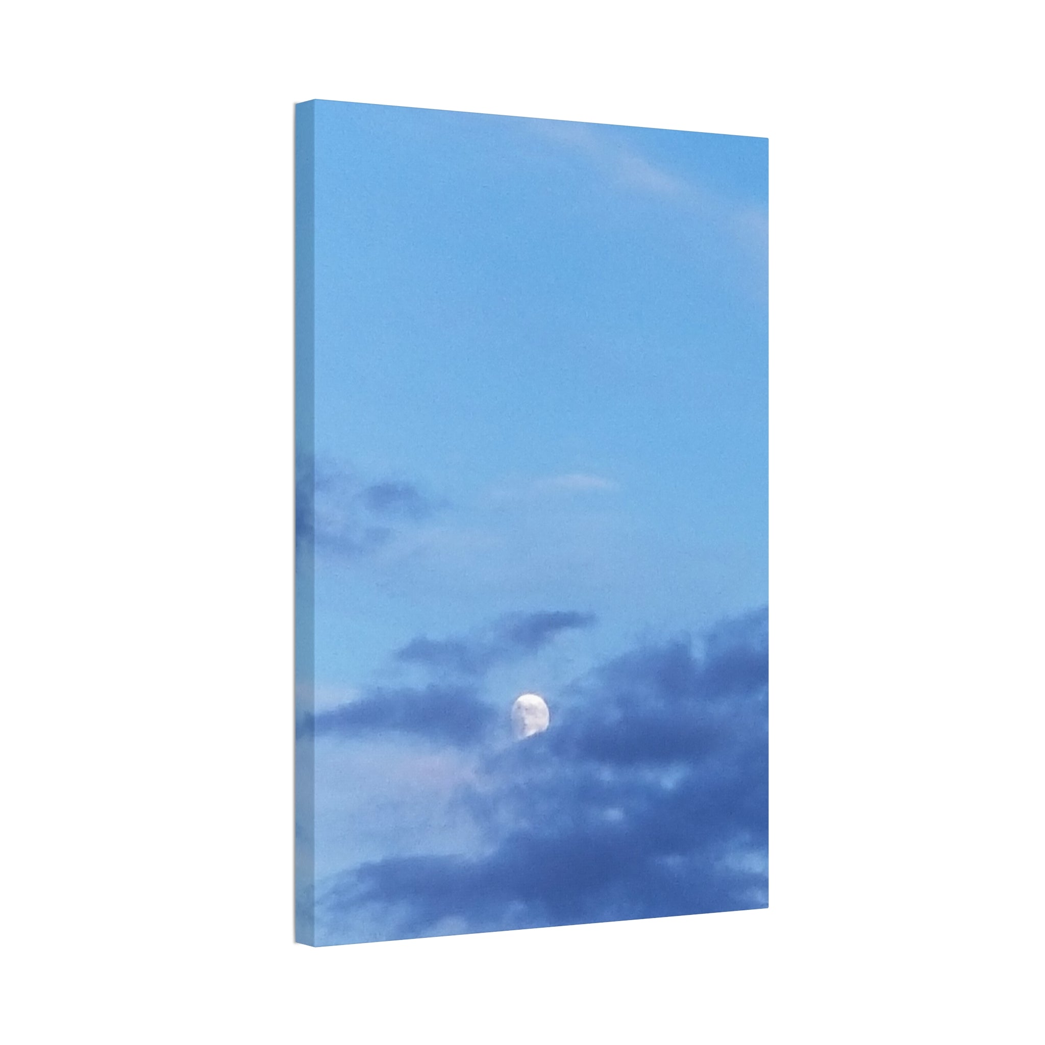 Celestial Wild | Hushed Lunar Firmament Wall Art | The Inspiration Collection