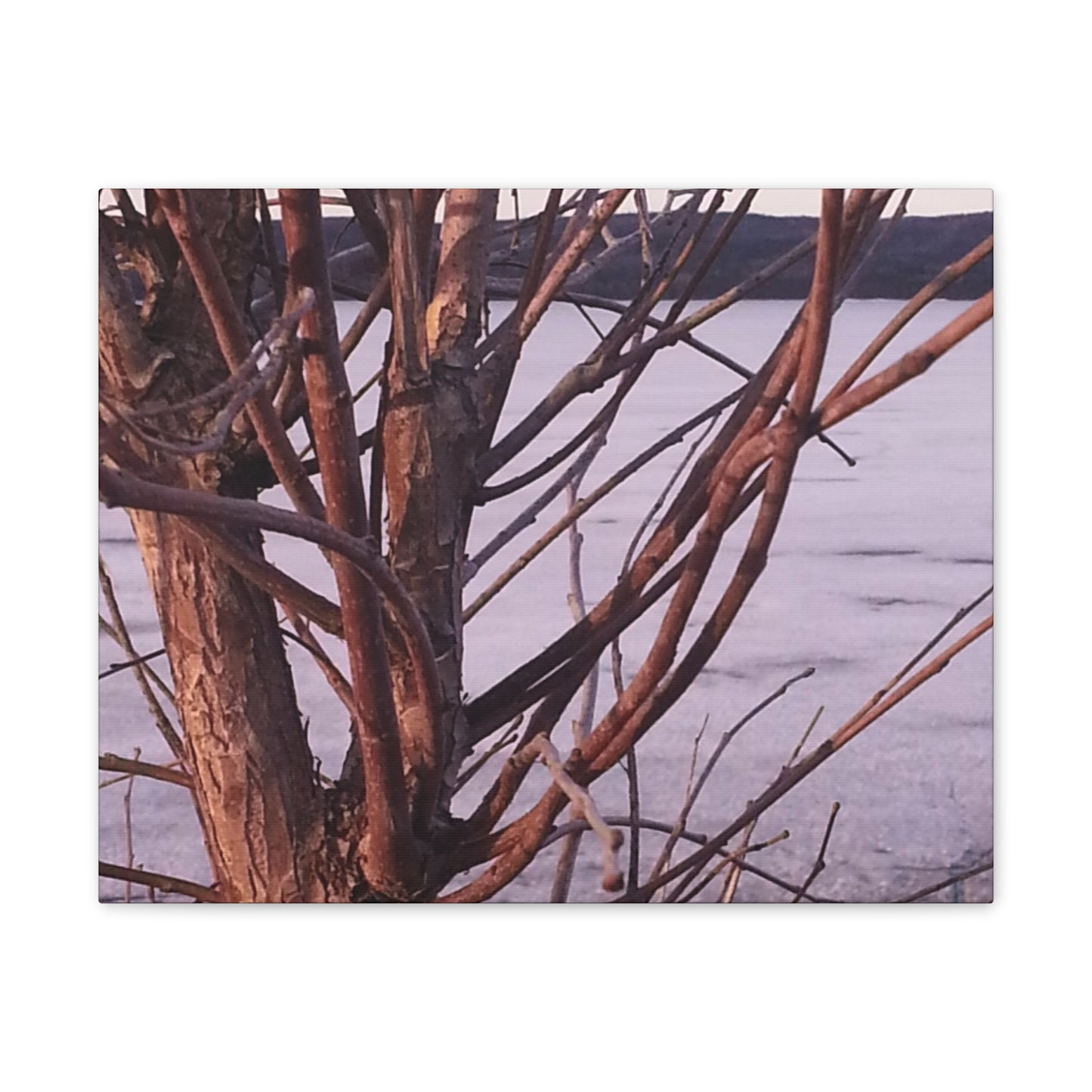 Canvas Wall Art - Nature-inspired - Serene Lake View with Bare Trees