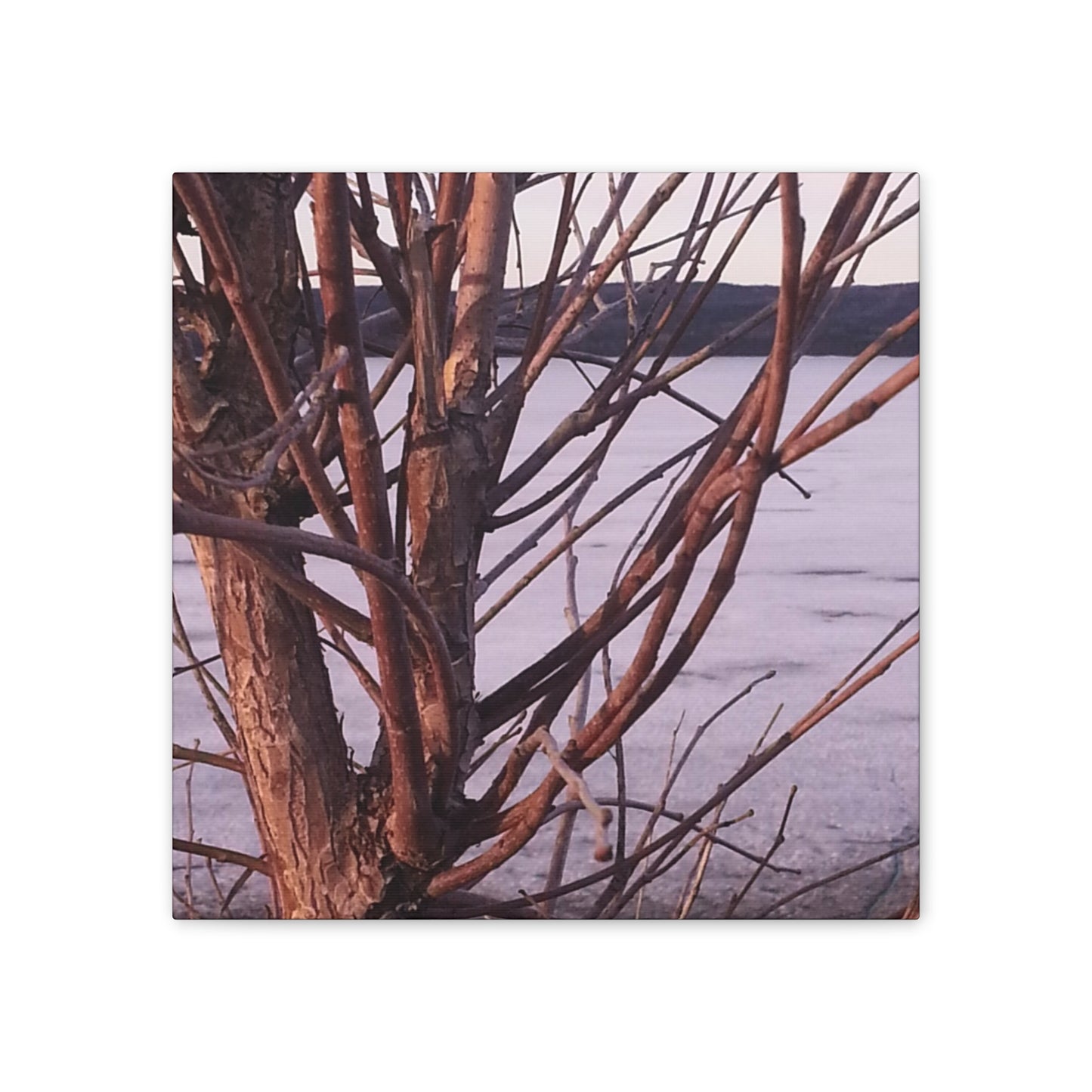 Canvas Wall Art - Nature-inspired - Serene Lake View with Bare Trees