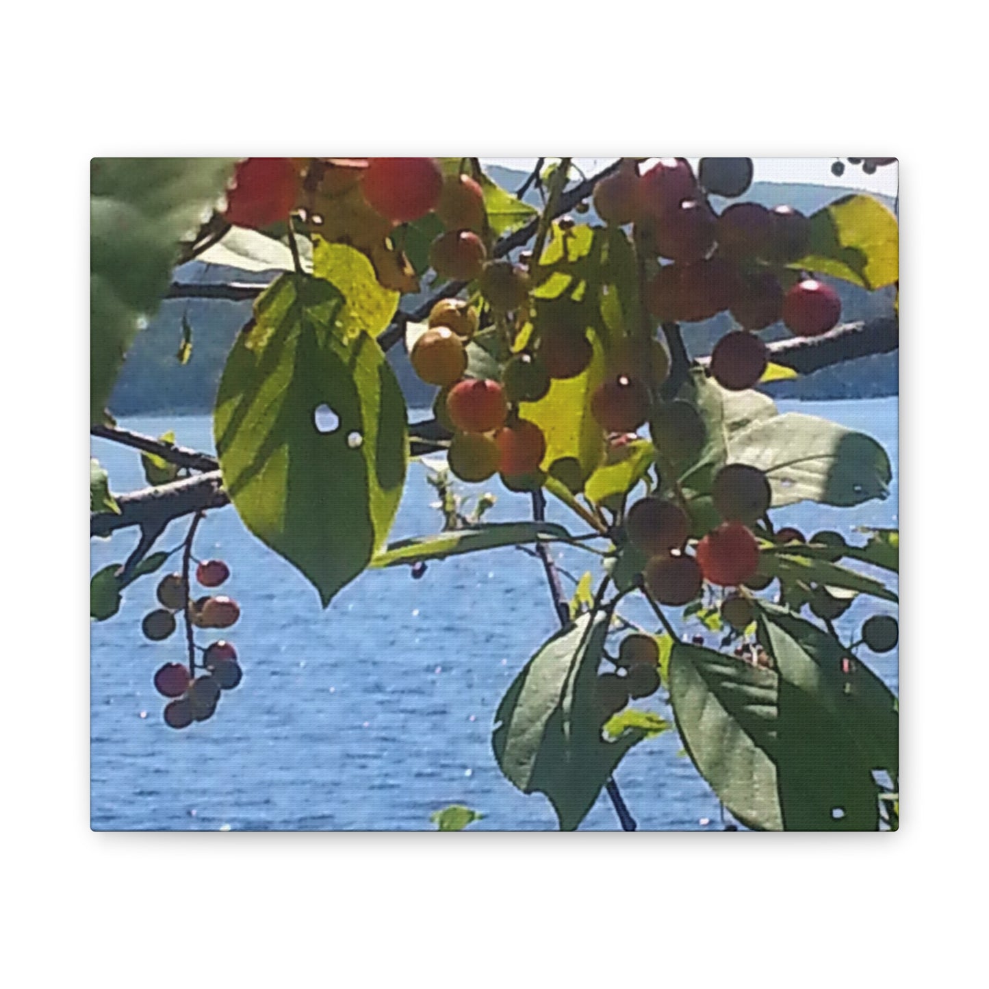 Canvas Art  Nature-Inspired - Scenic Berry Branch