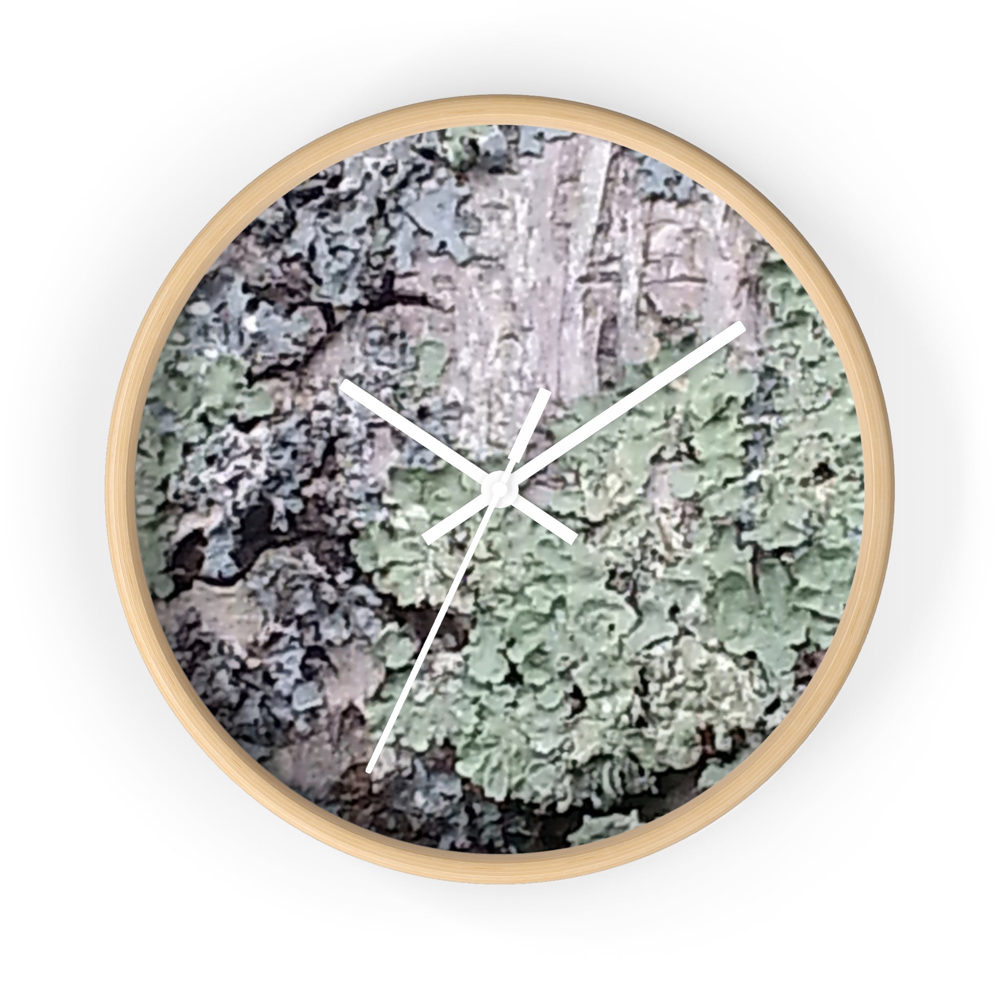 Symbiotic Veneer | Intricate Lichen Growth Silent Wall Clock | The Rooted Collection