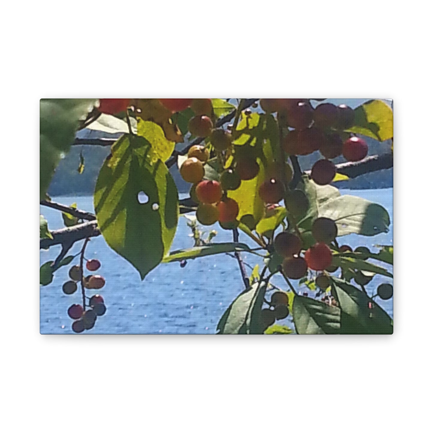 Canvas Art  Nature-Inspired - Scenic Berry Branch